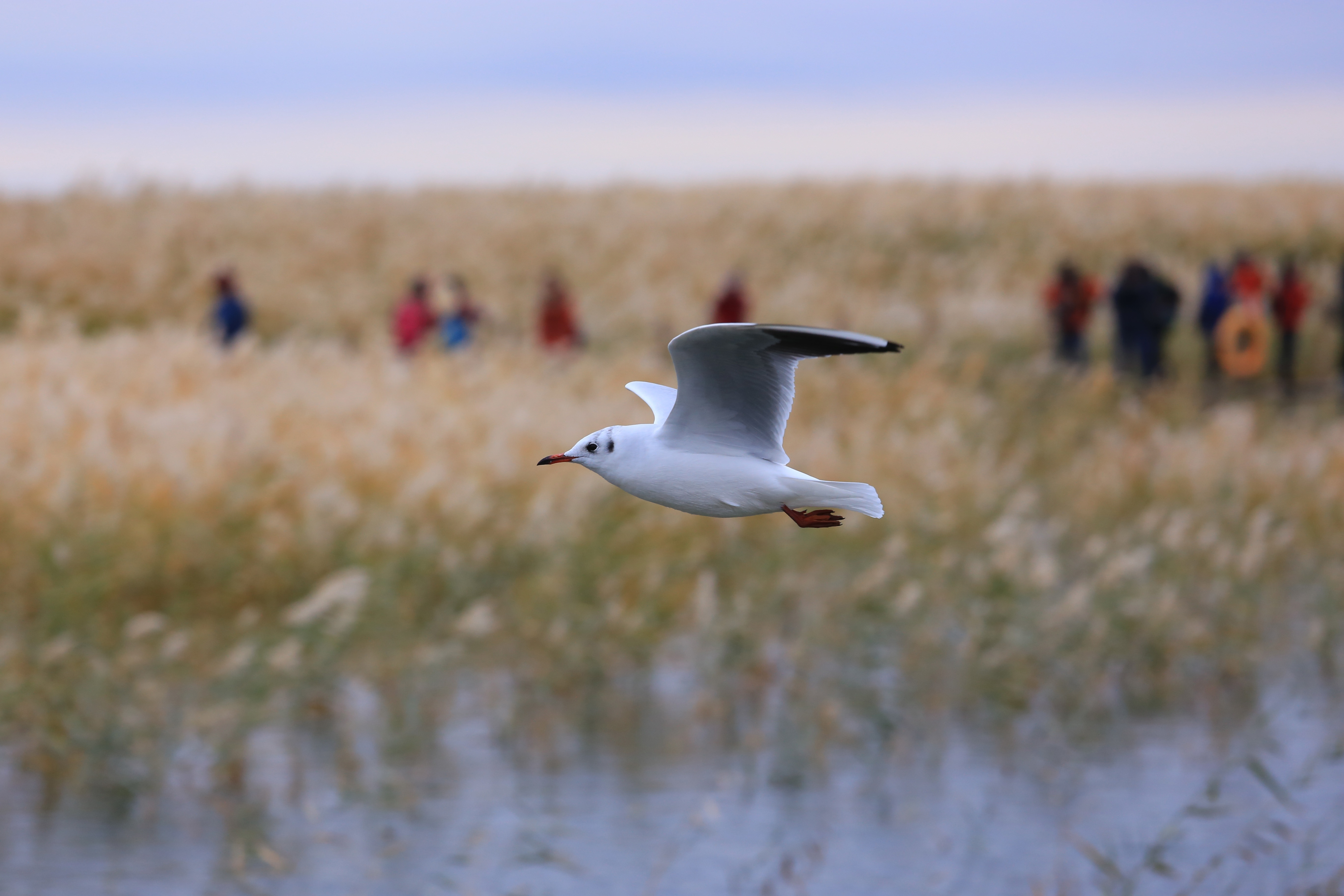 Du lich Trung Quoc anh 38