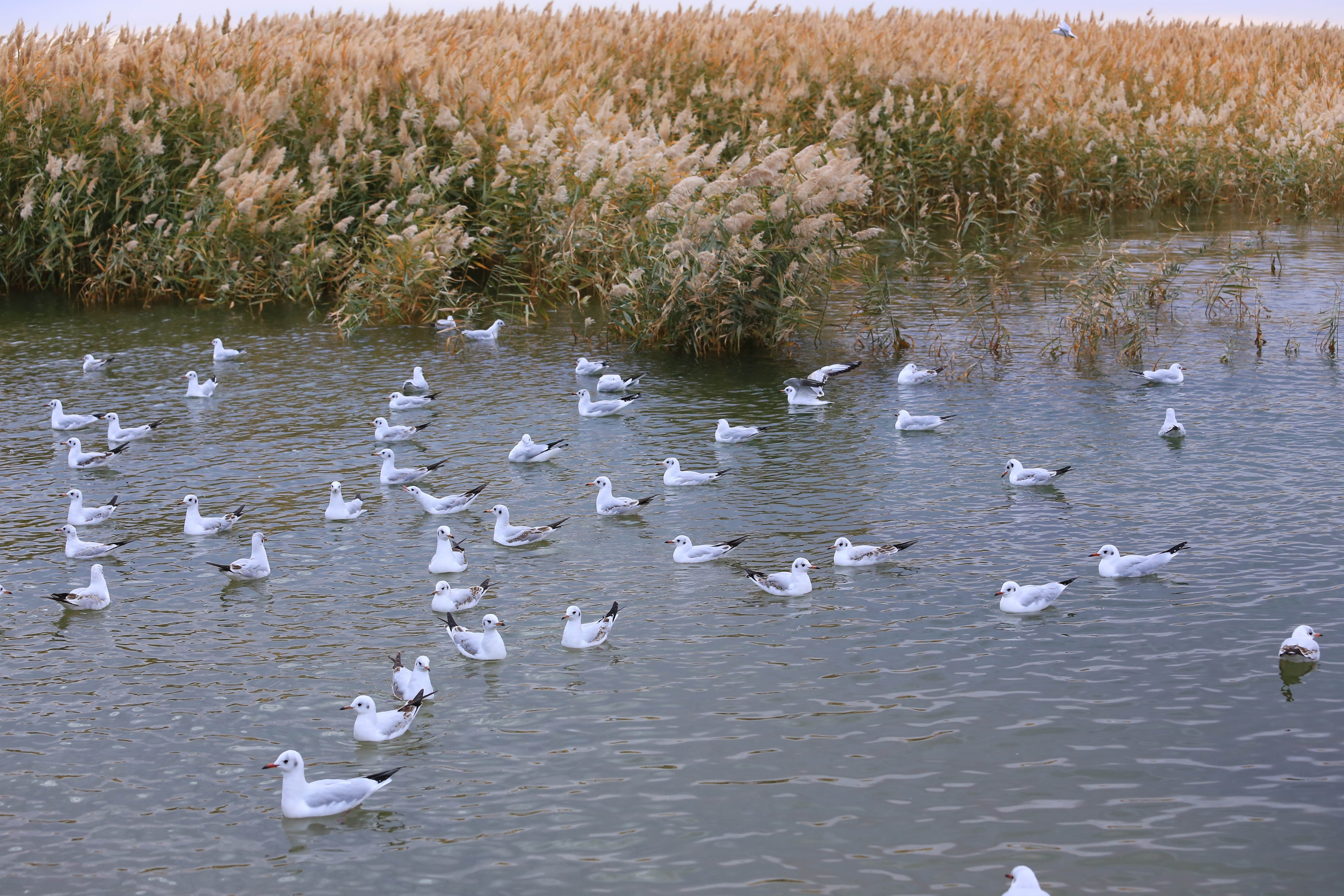 Du lich Trung Quoc anh 39