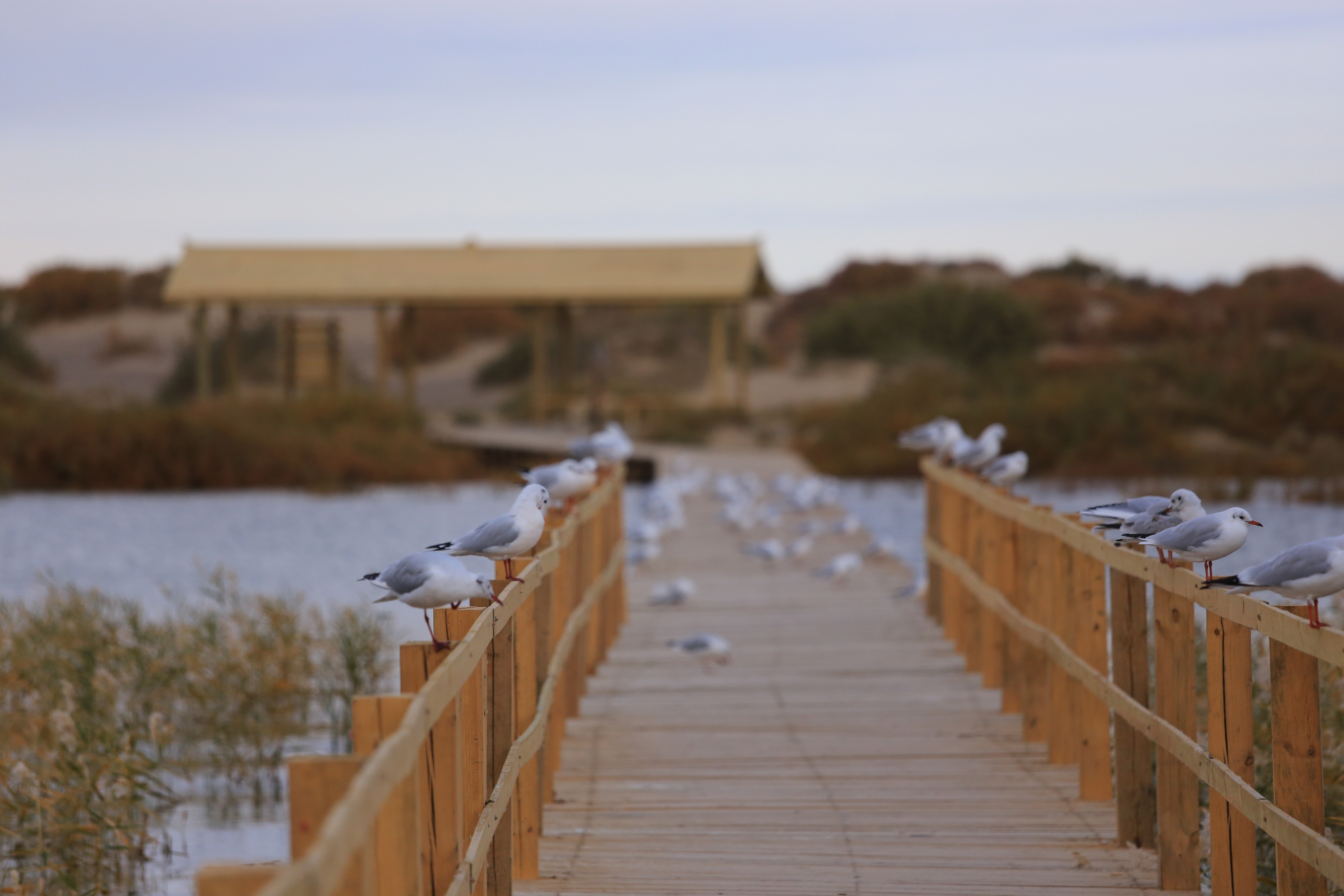 Du lich Trung Quoc anh 27