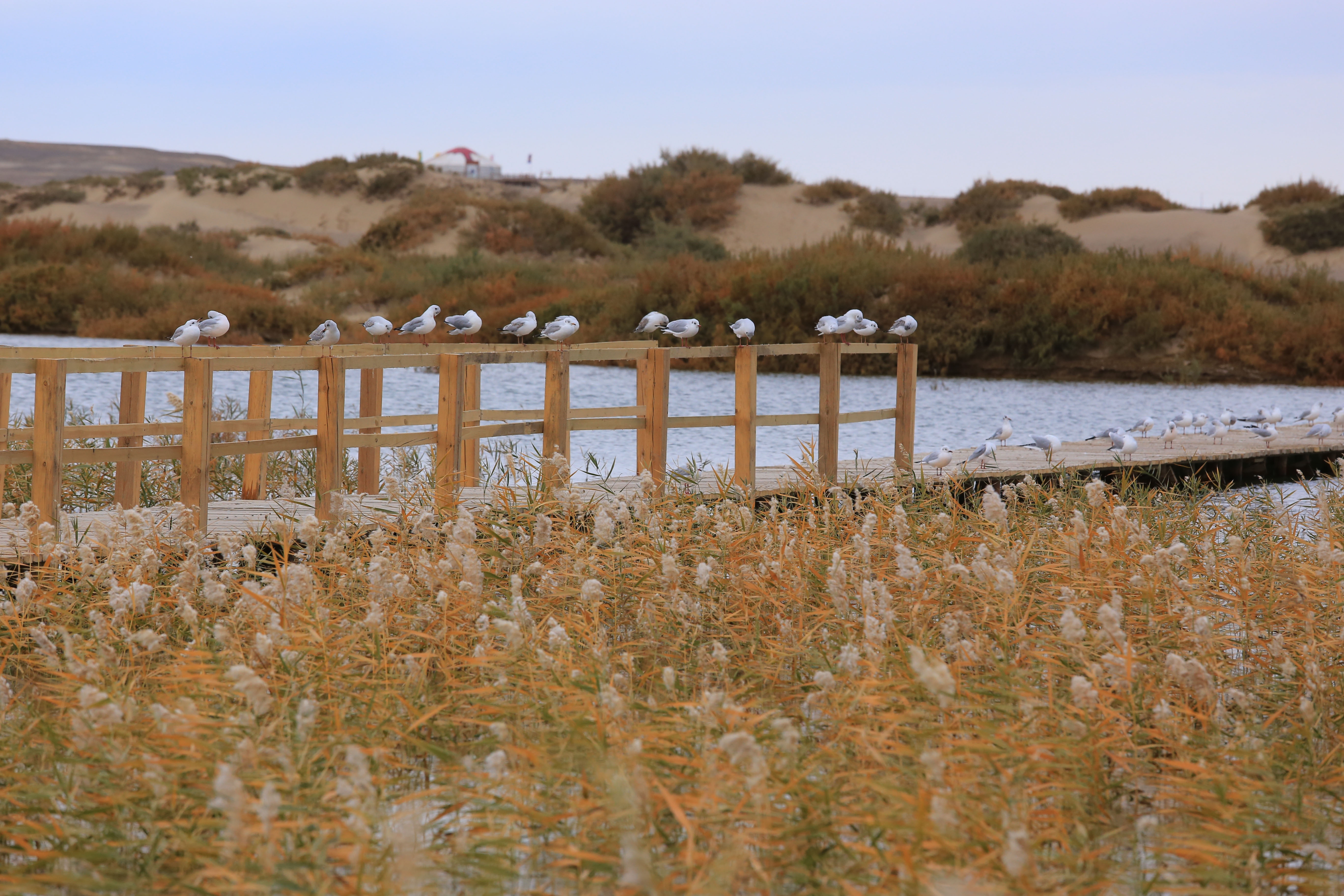 Du lich Trung Quoc anh 42