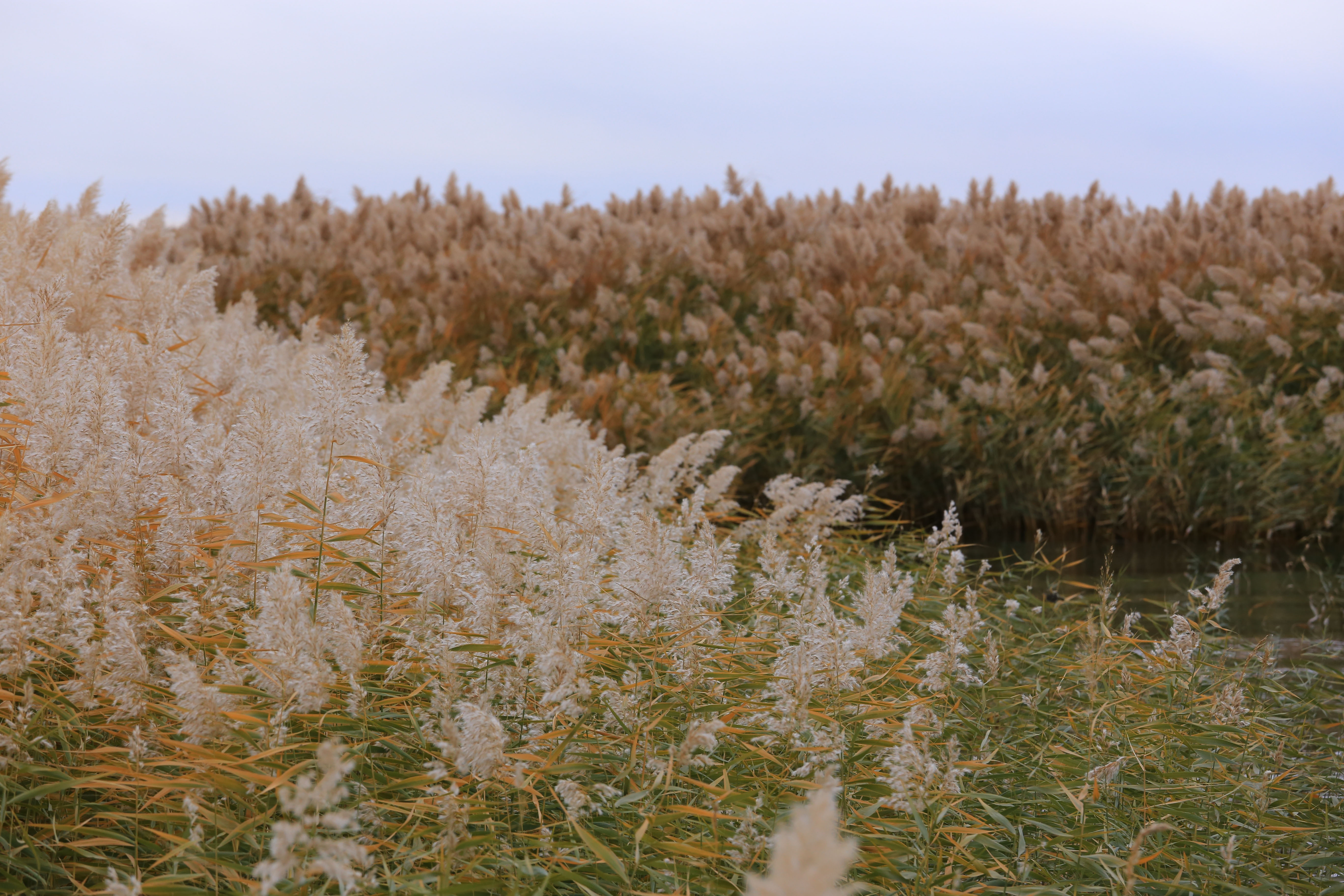 Du lich Trung Quoc anh 43