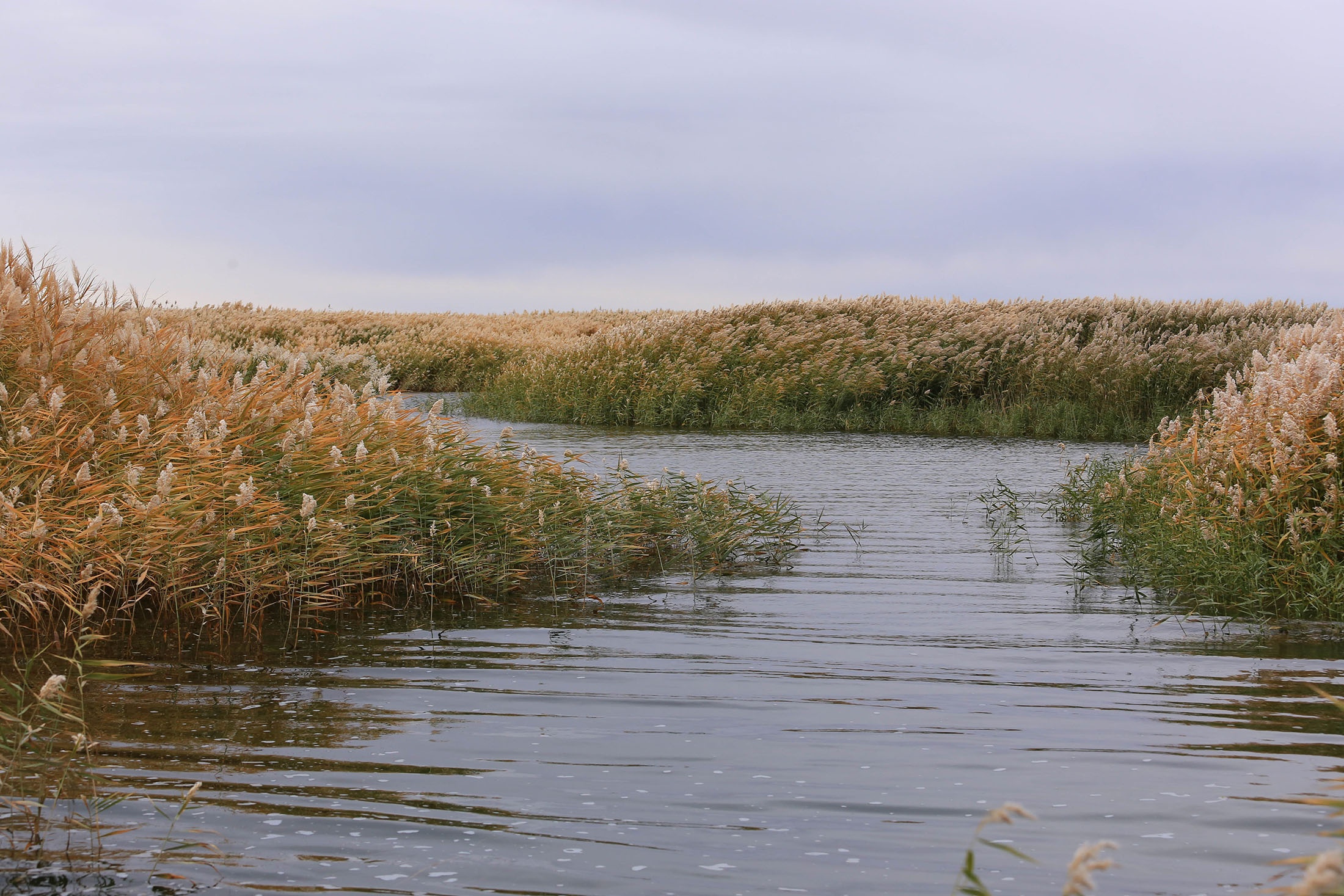 Du lich Trung Quoc anh 28