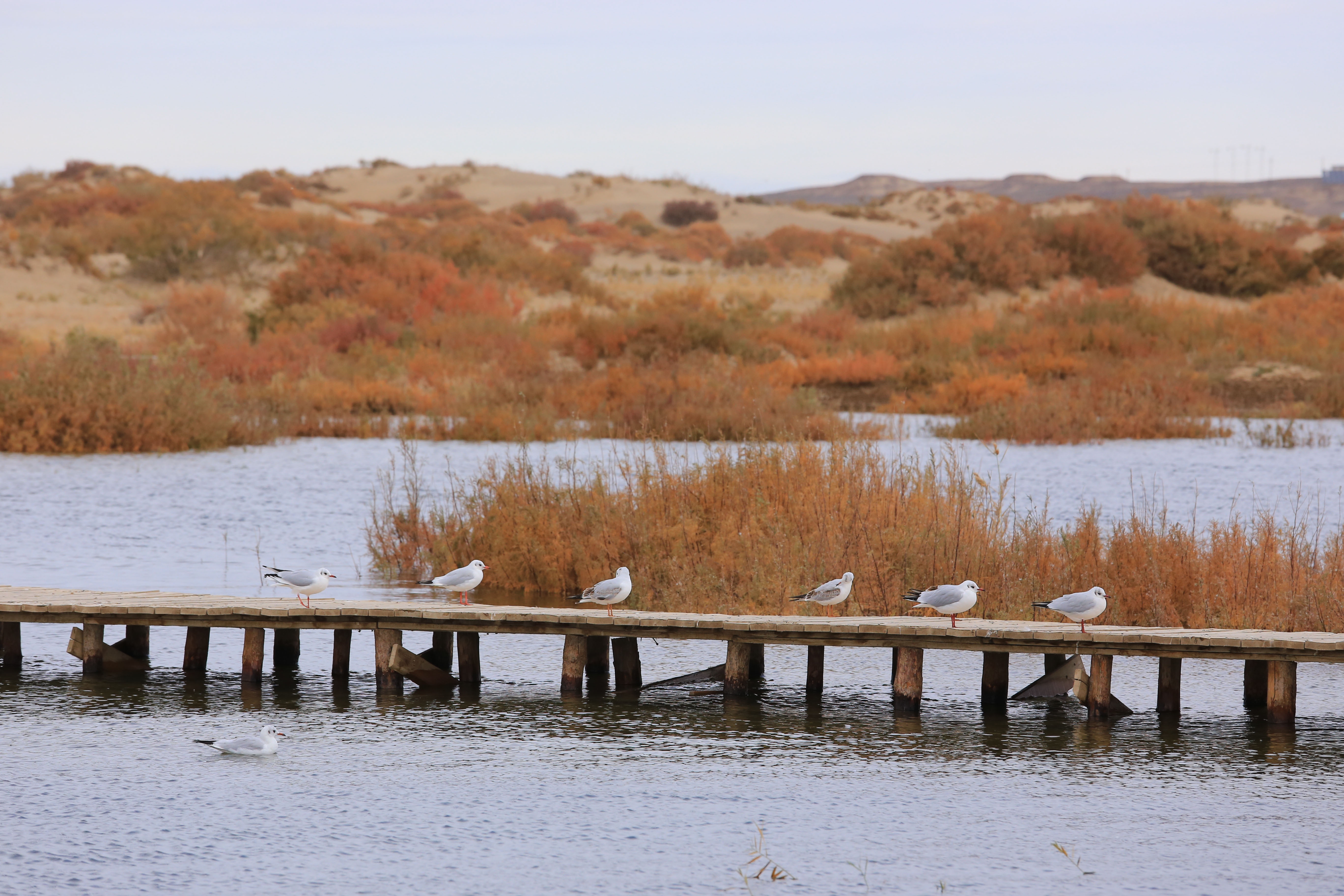 Du lich Trung Quoc anh 44