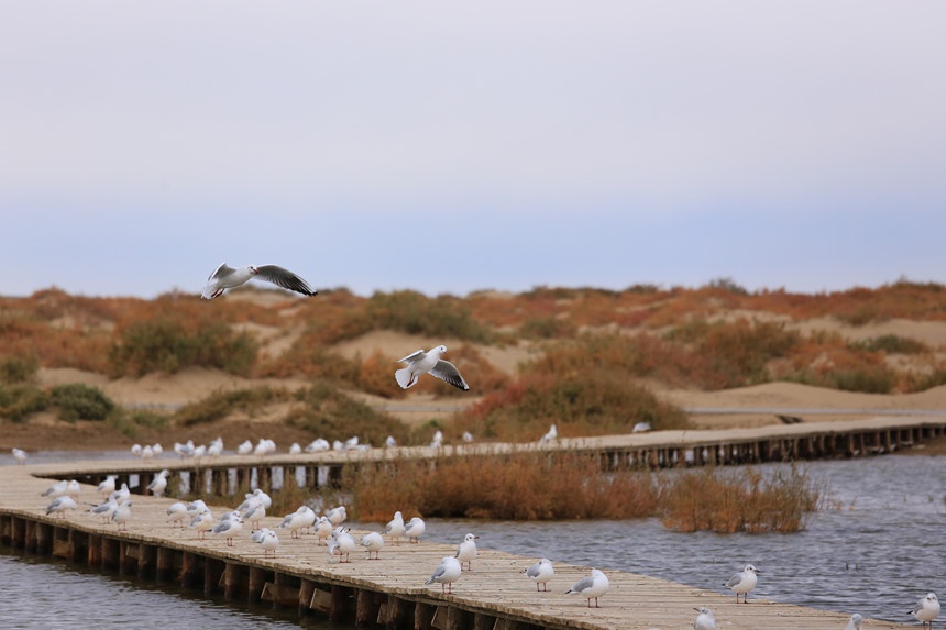 Du lich Trung Quoc anh 26