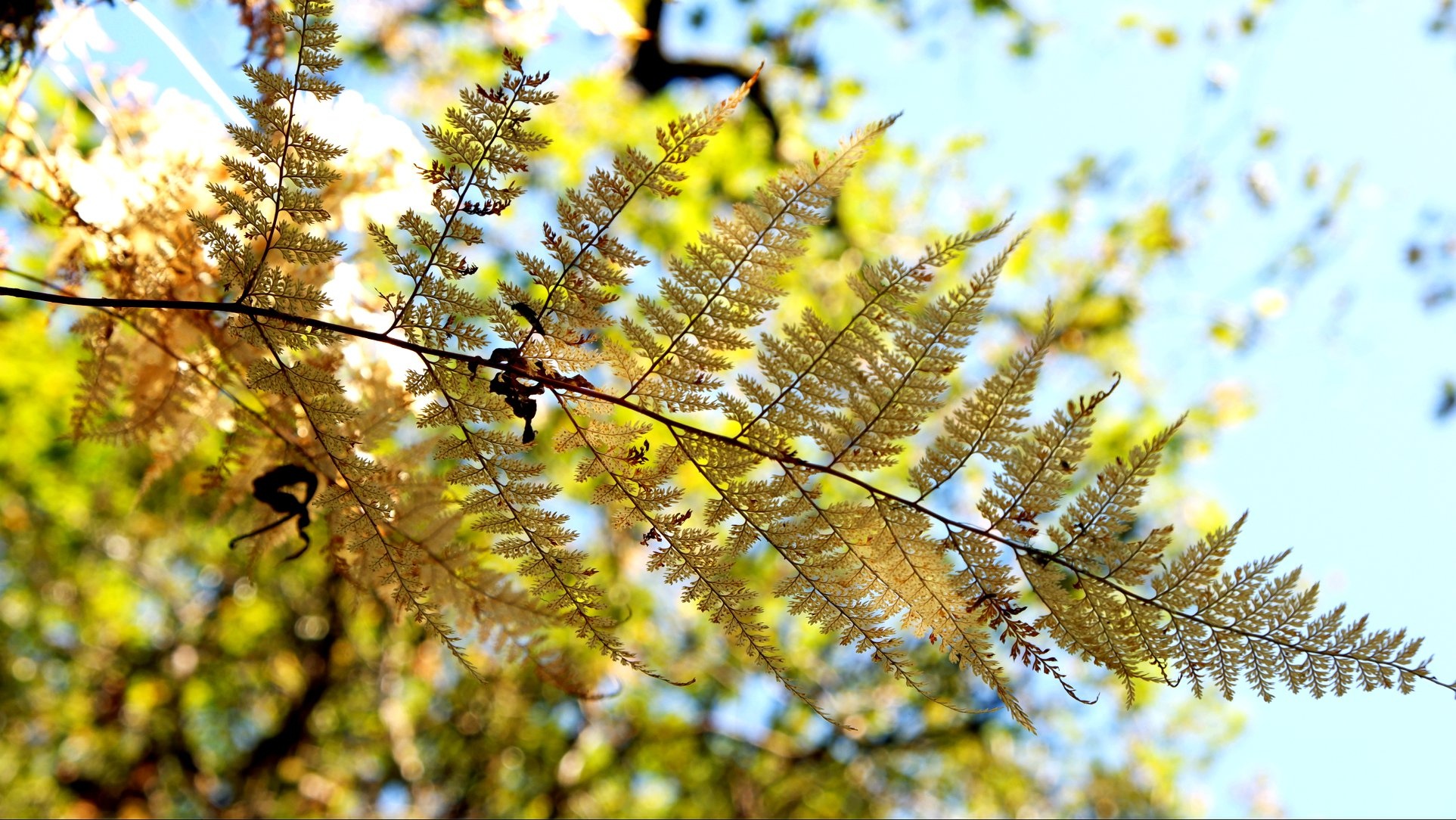 Hanh trinh Himalaya anh 18