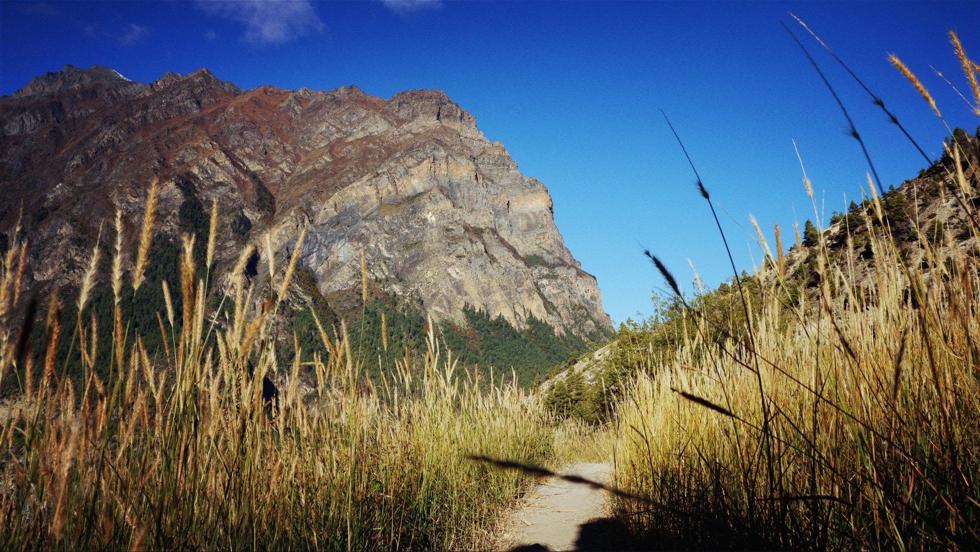 Hanh trinh Himalaya anh 25