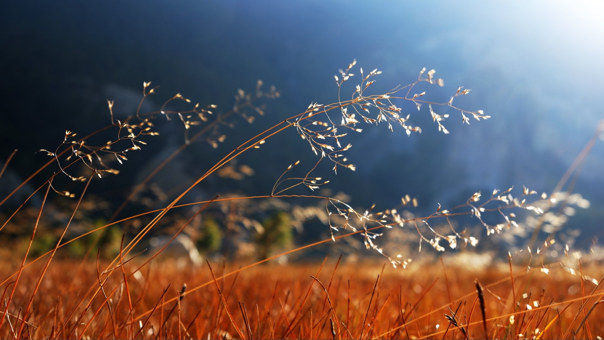 Hanh trinh Himalaya anh 26