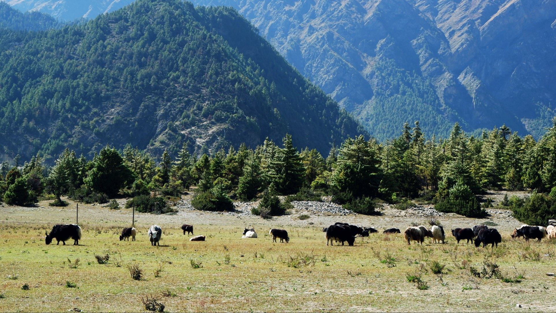 Hanh trinh Himalaya anh 24