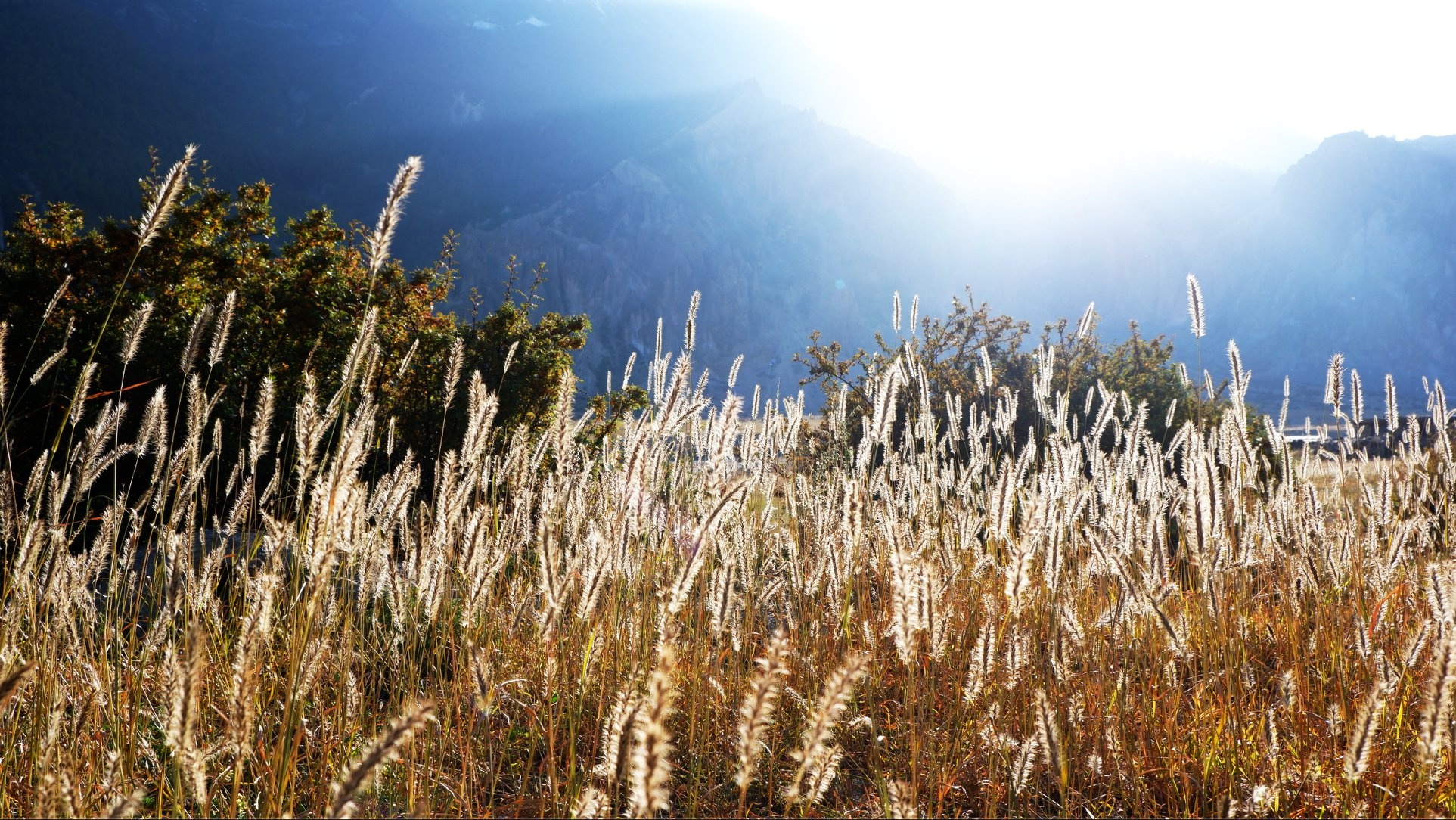 Hanh trinh Himalaya anh 27