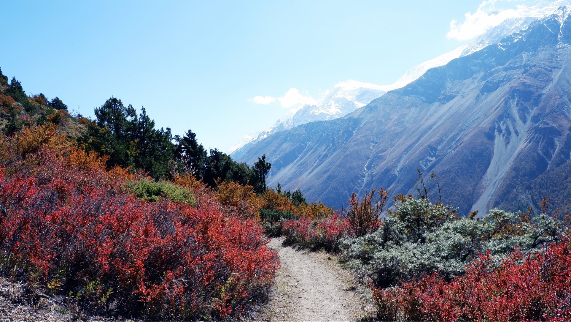 Hanh trinh Himalaya anh 31