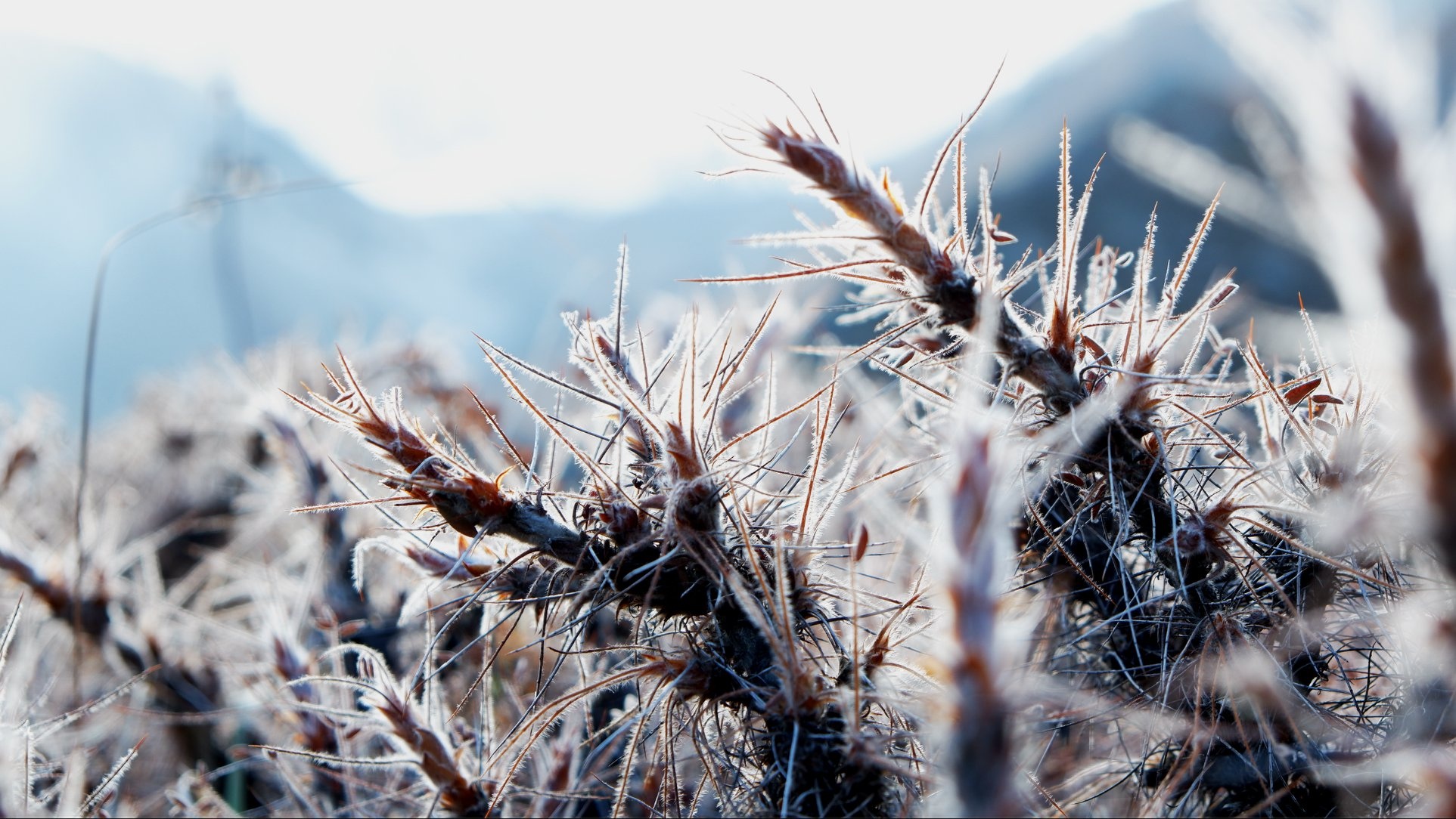 Hanh trinh Himalaya anh 34