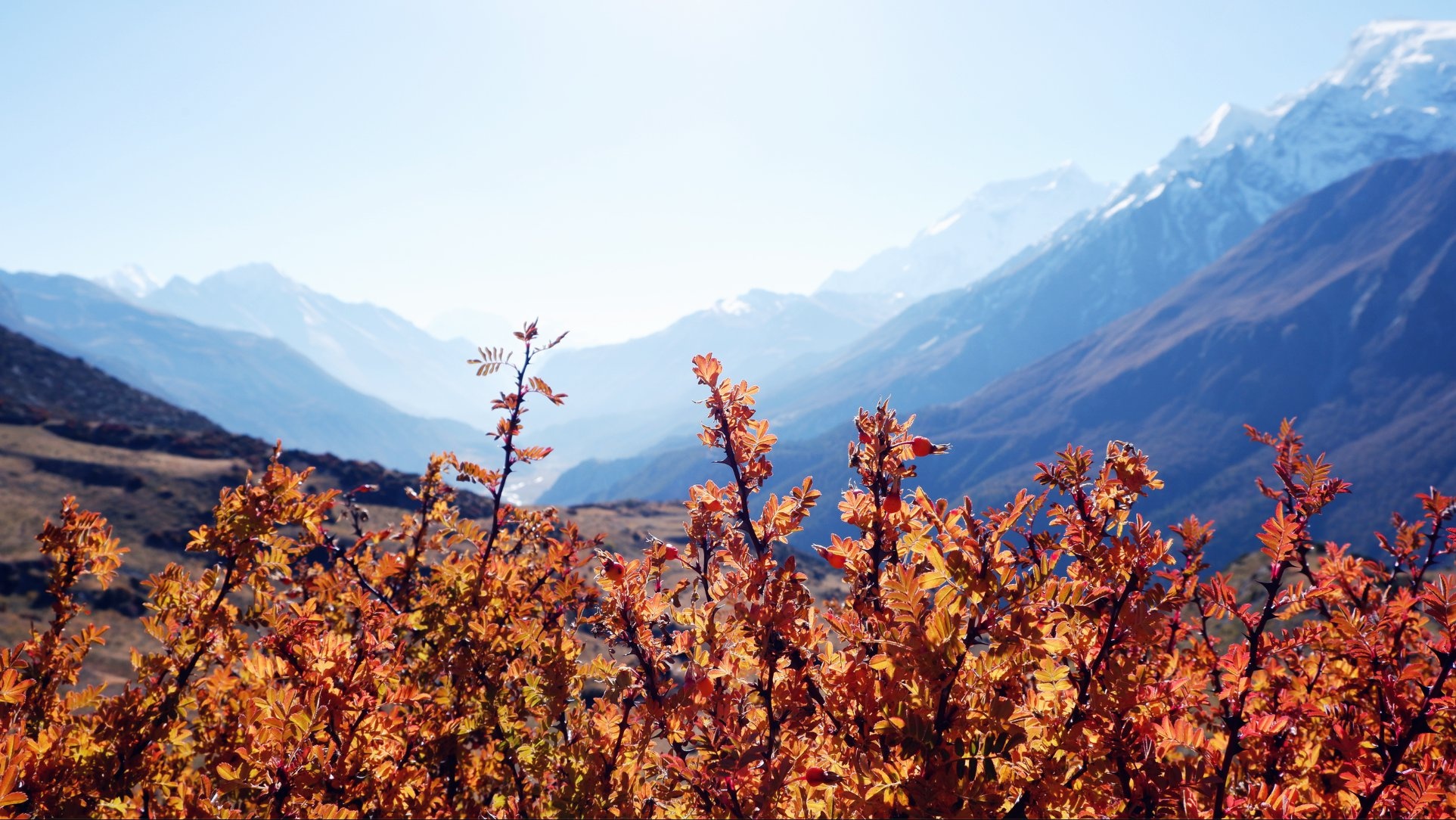 Hanh trinh Himalaya anh 45