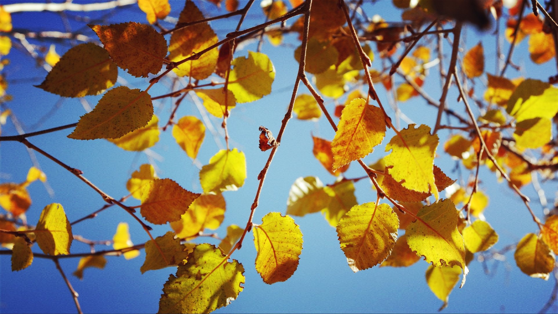 Hanh trinh Himalaya anh 47