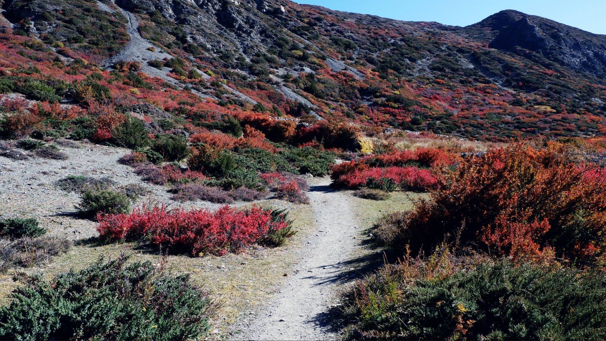 Hanh trinh Himalaya anh 48