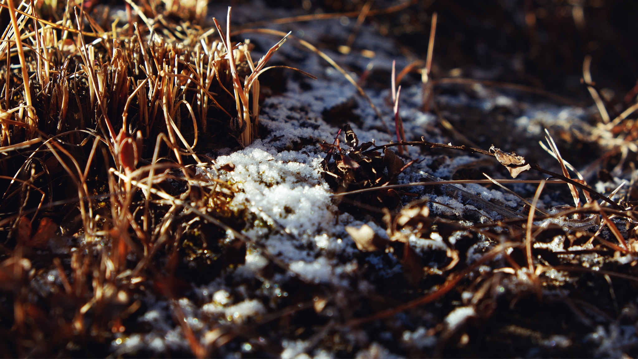 Hanh trinh Himalaya anh 38