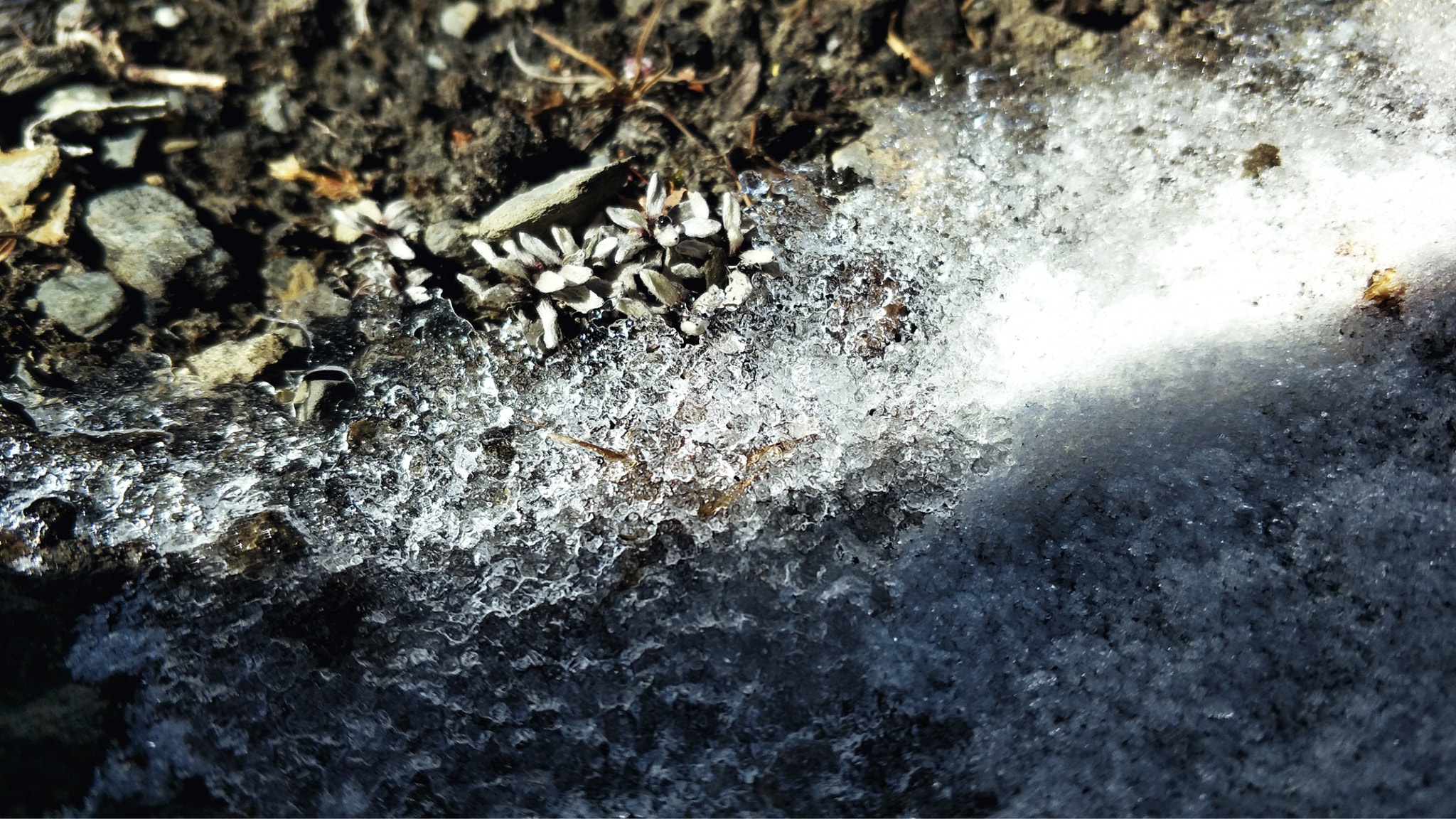 Hanh trinh Himalaya anh 40