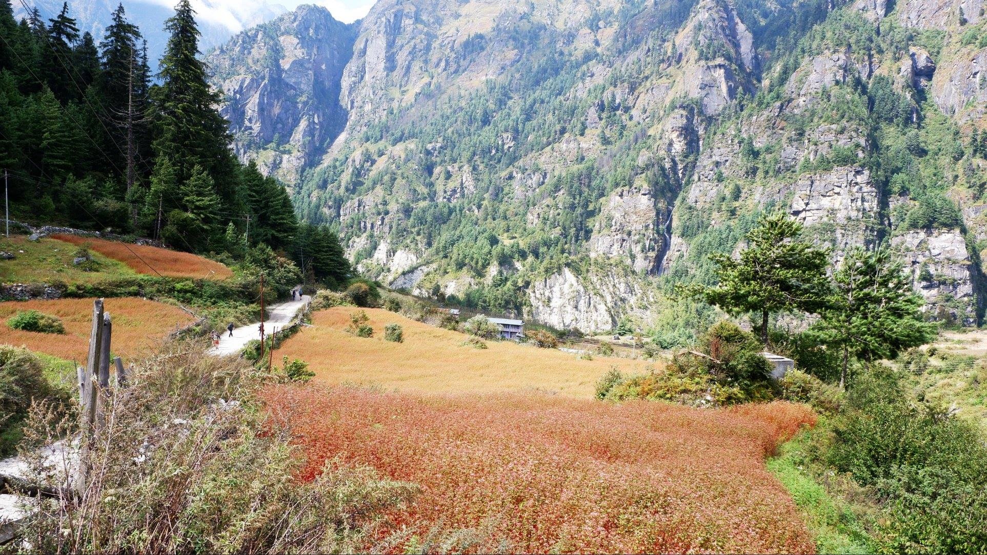 Hanh trinh Himalaya anh 13