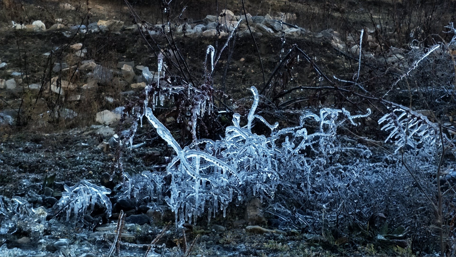 Hanh trinh Himalaya anh 51