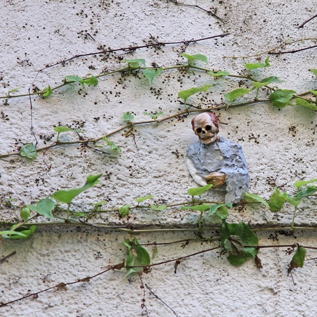 Du lich chau Au anh 22