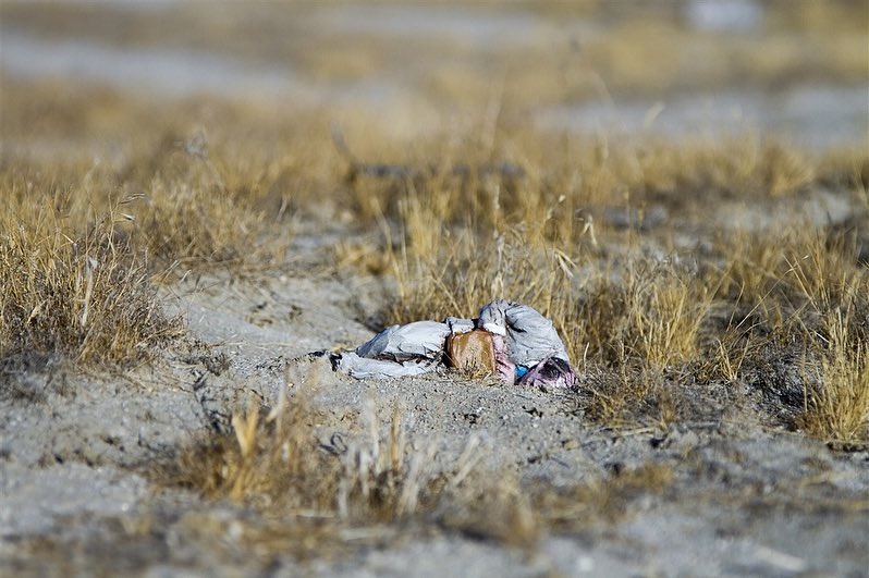 Du lich chau Au anh 4