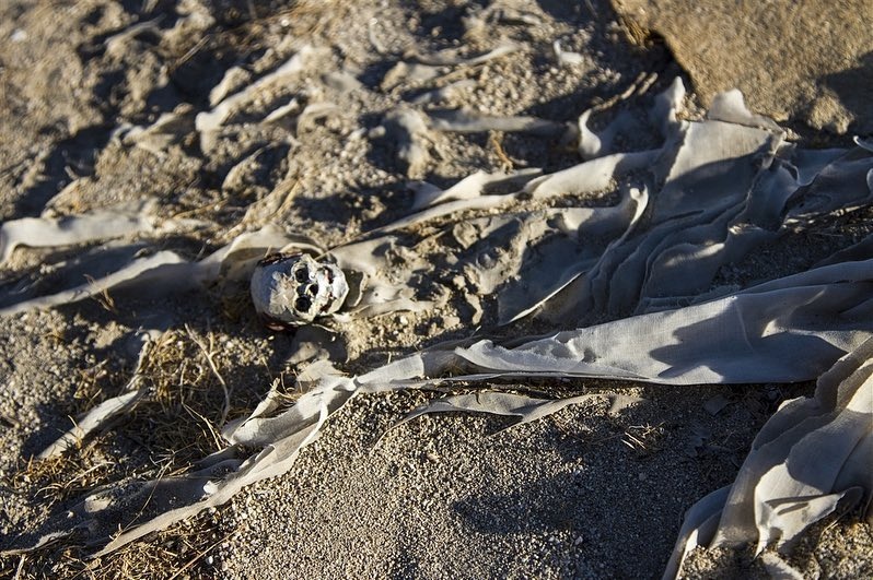 Du lich chau Au anh 6