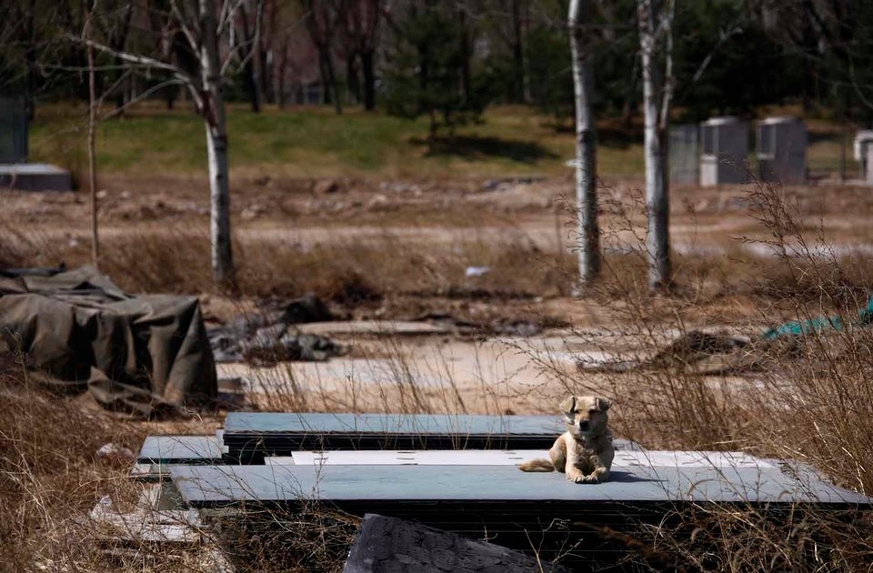 Dia diem Olympic anh 16