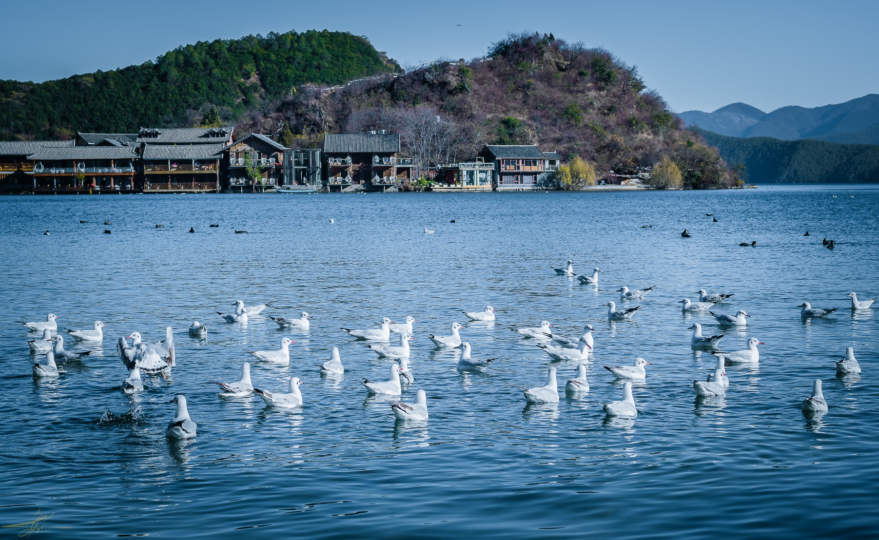 Du lich Trung Quoc anh 3