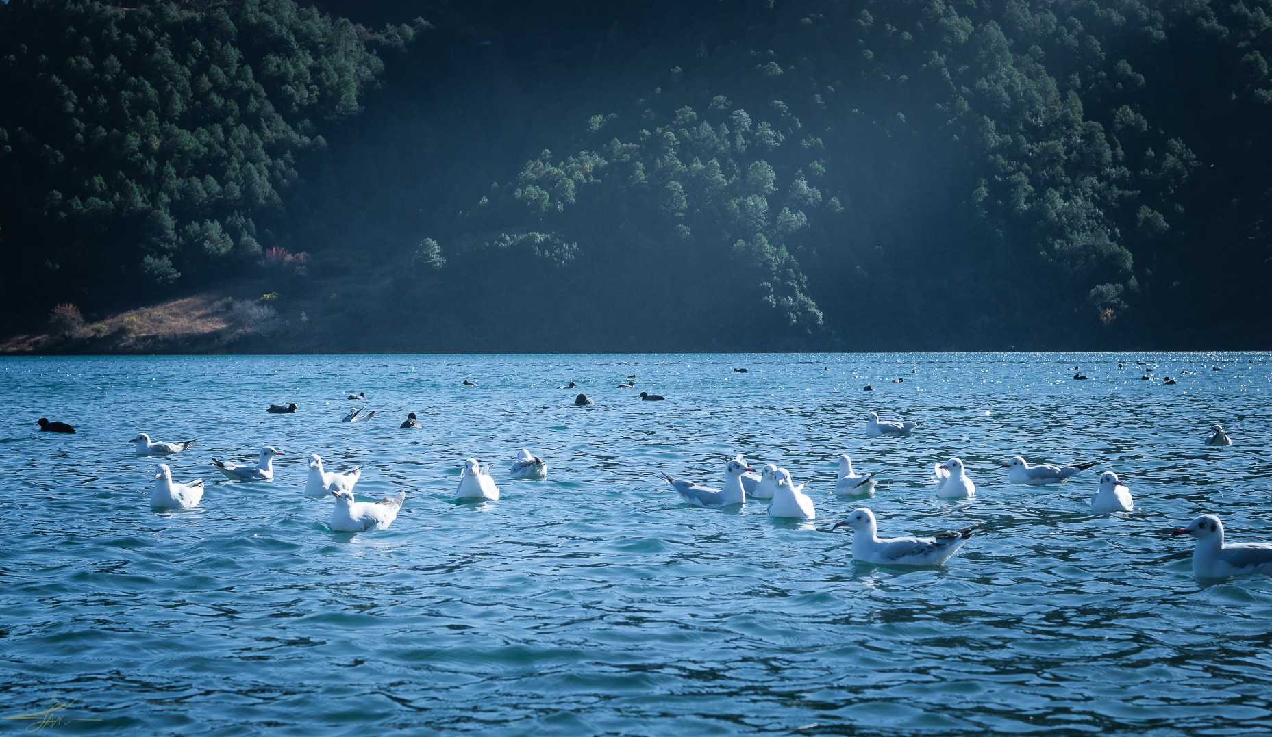 Du lich Trung Quoc anh 4