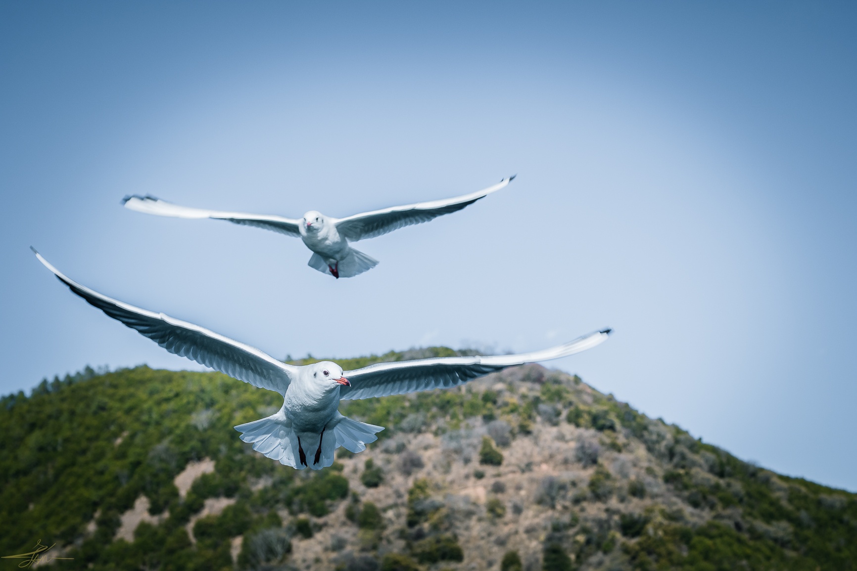 Du lich Trung Quoc anh 6