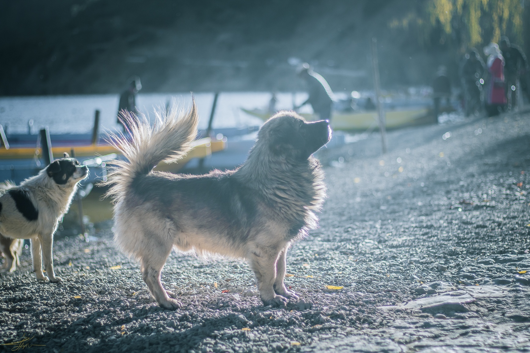 Du lich Trung Quoc anh 10