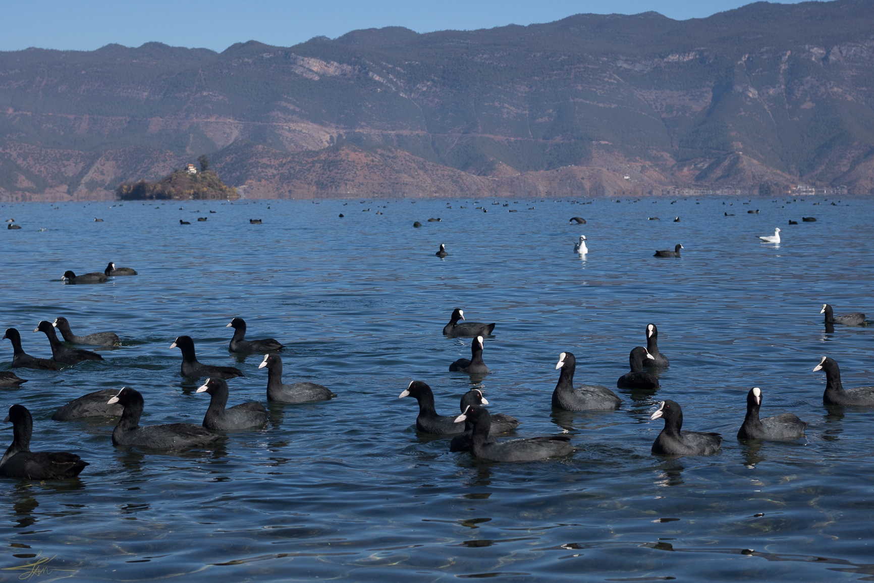 Du lich Trung Quoc anh 7