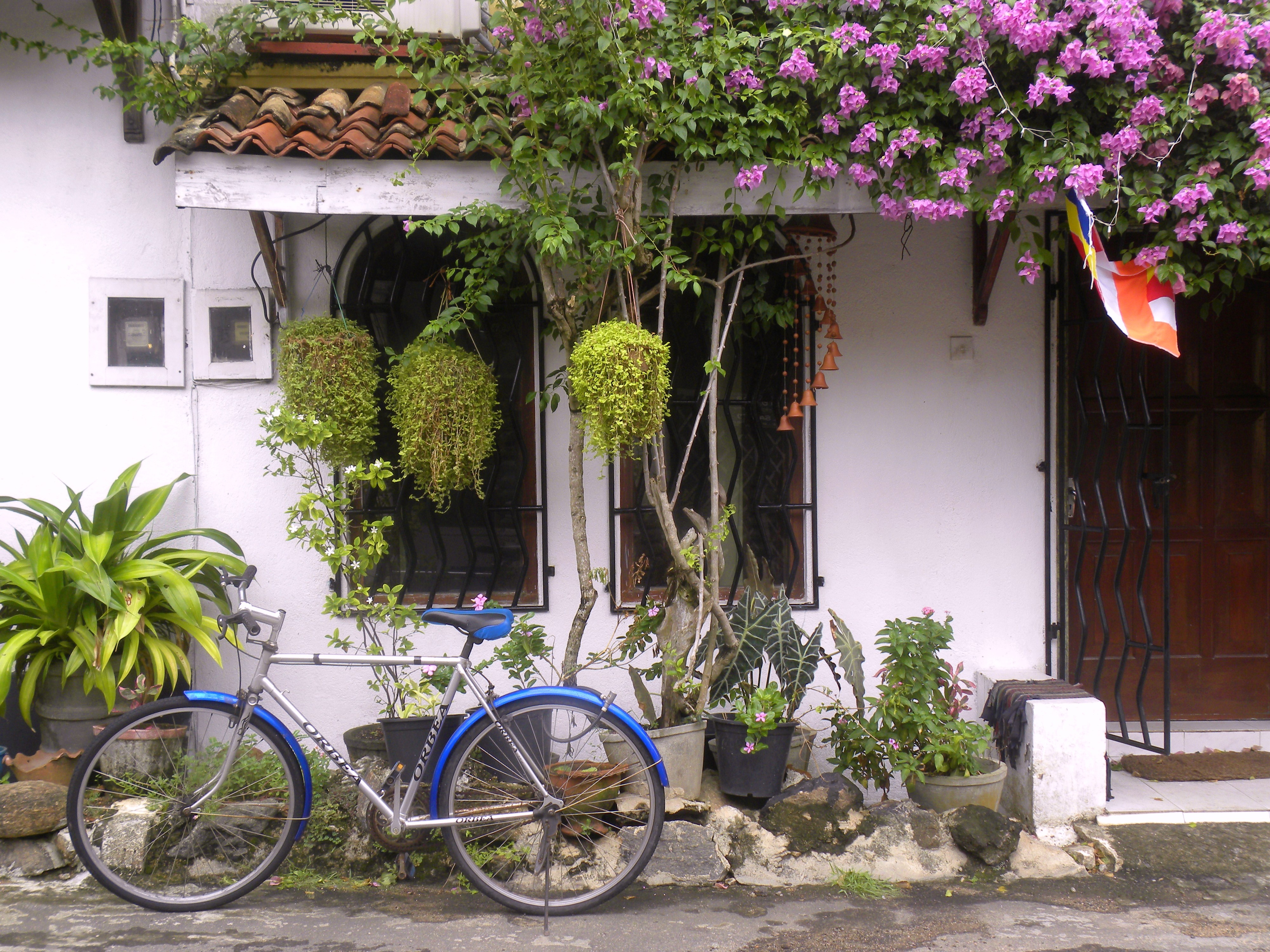 Du lịch Sri Lanka ảnh 4 Du lich Sri Lanka anh 4