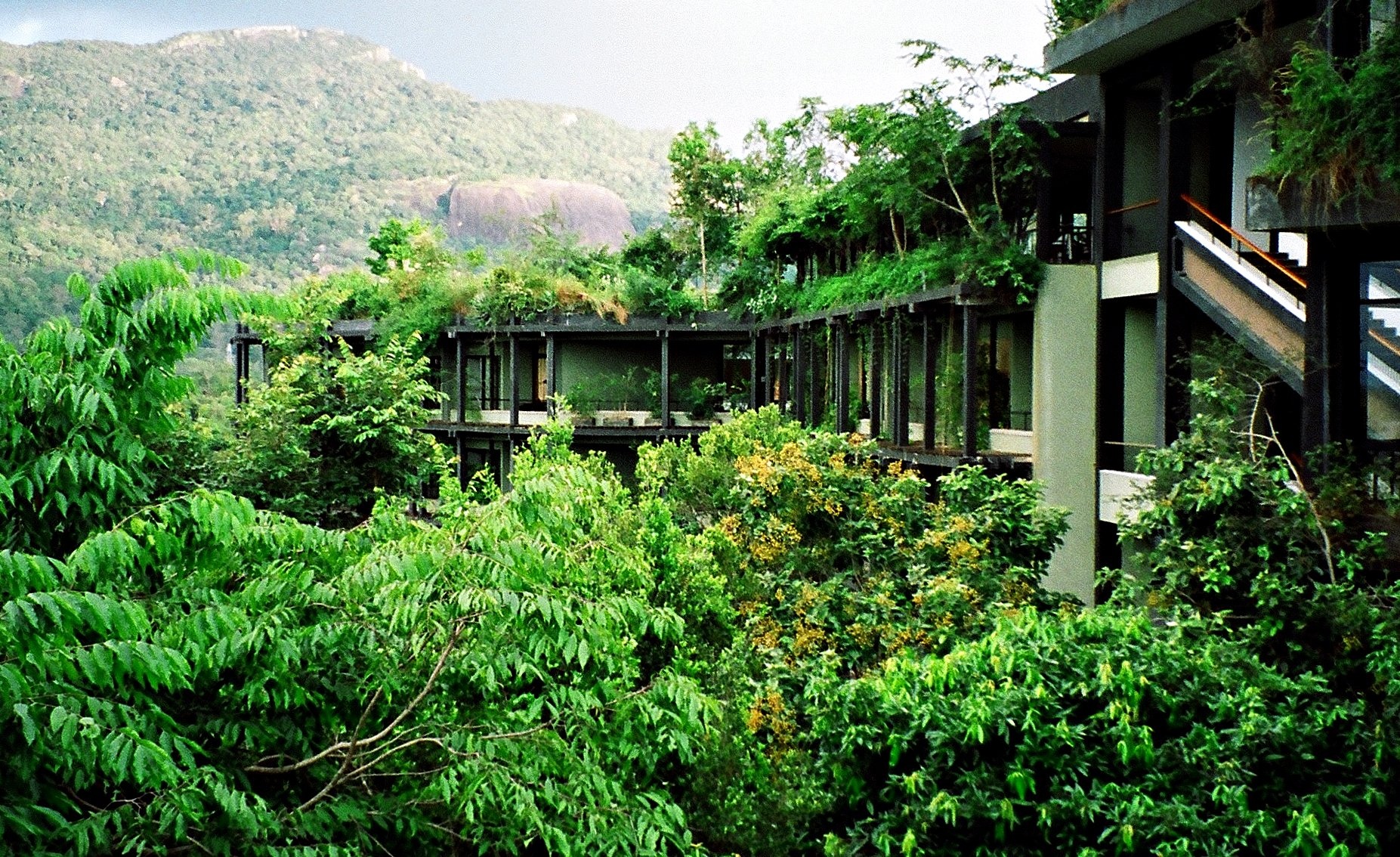 Du lịch Sri Lanka ảnh 7 Du lich Sri Lanka anh 7