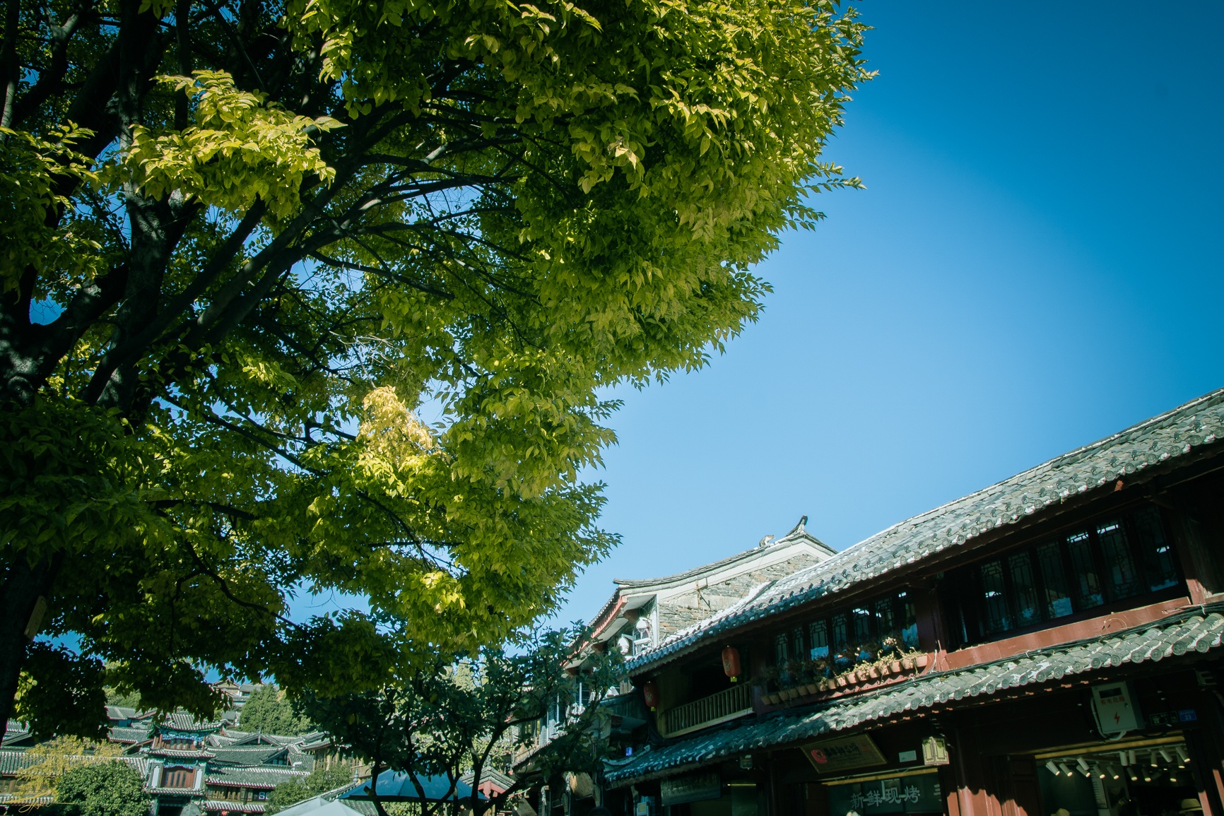 Du lich Le Giang anh 16