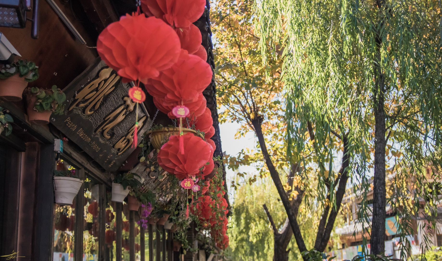 Du lich Le Giang anh 17