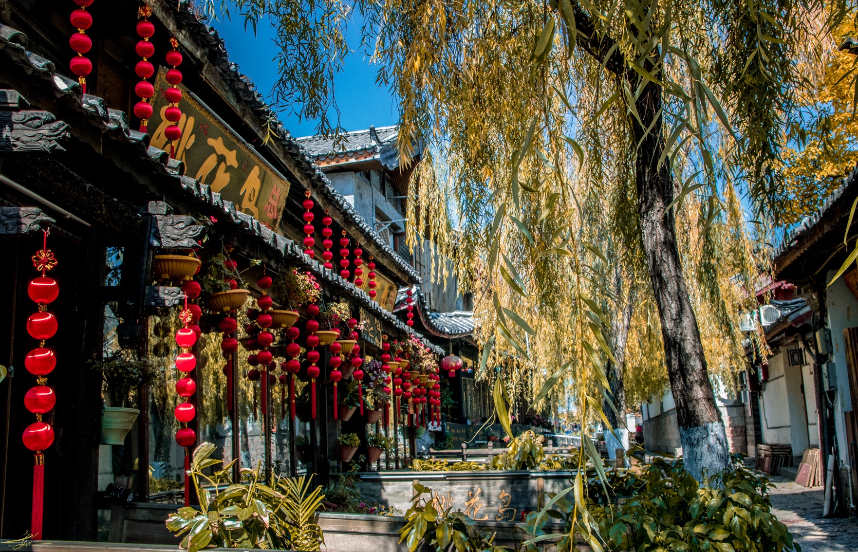 Du lich Le Giang anh 14