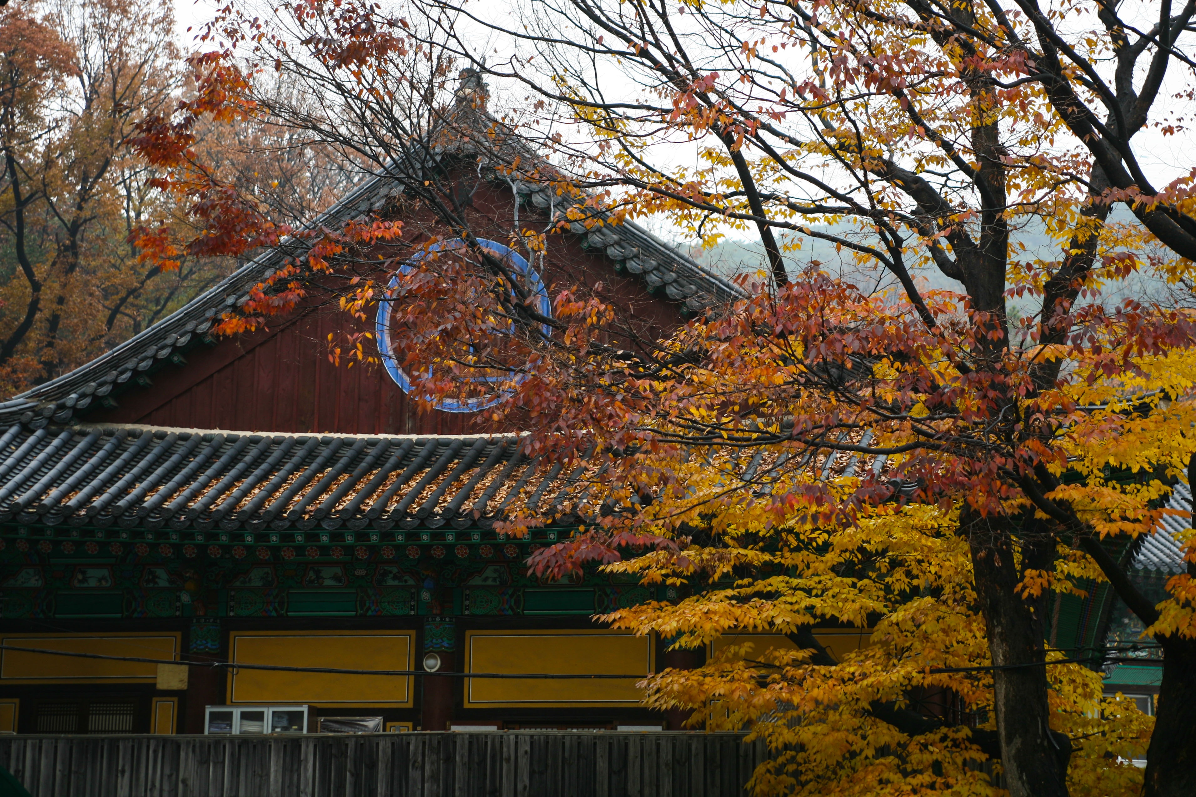 Du lich Han Quoc anh 68