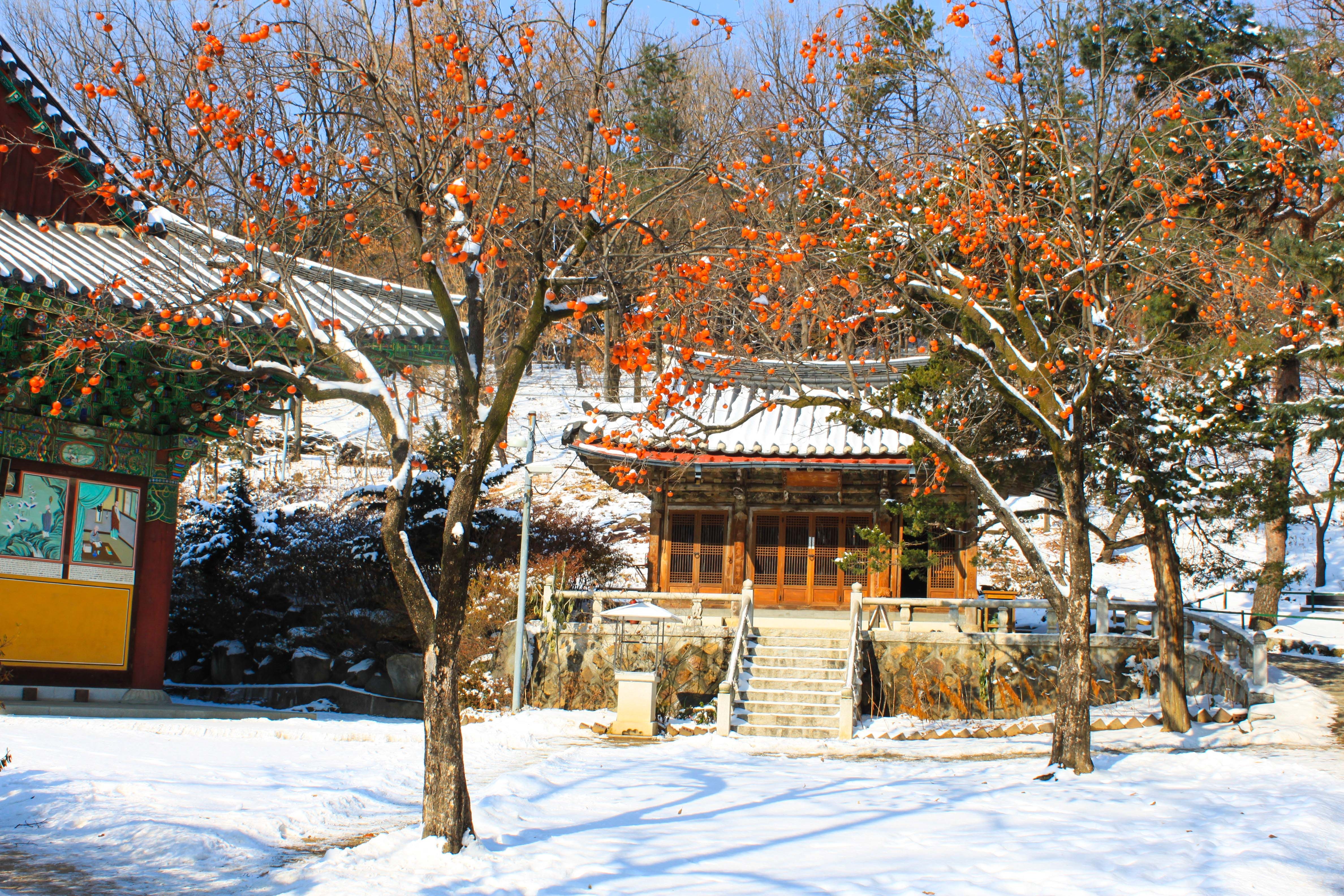 Du lich Han Quoc anh 78