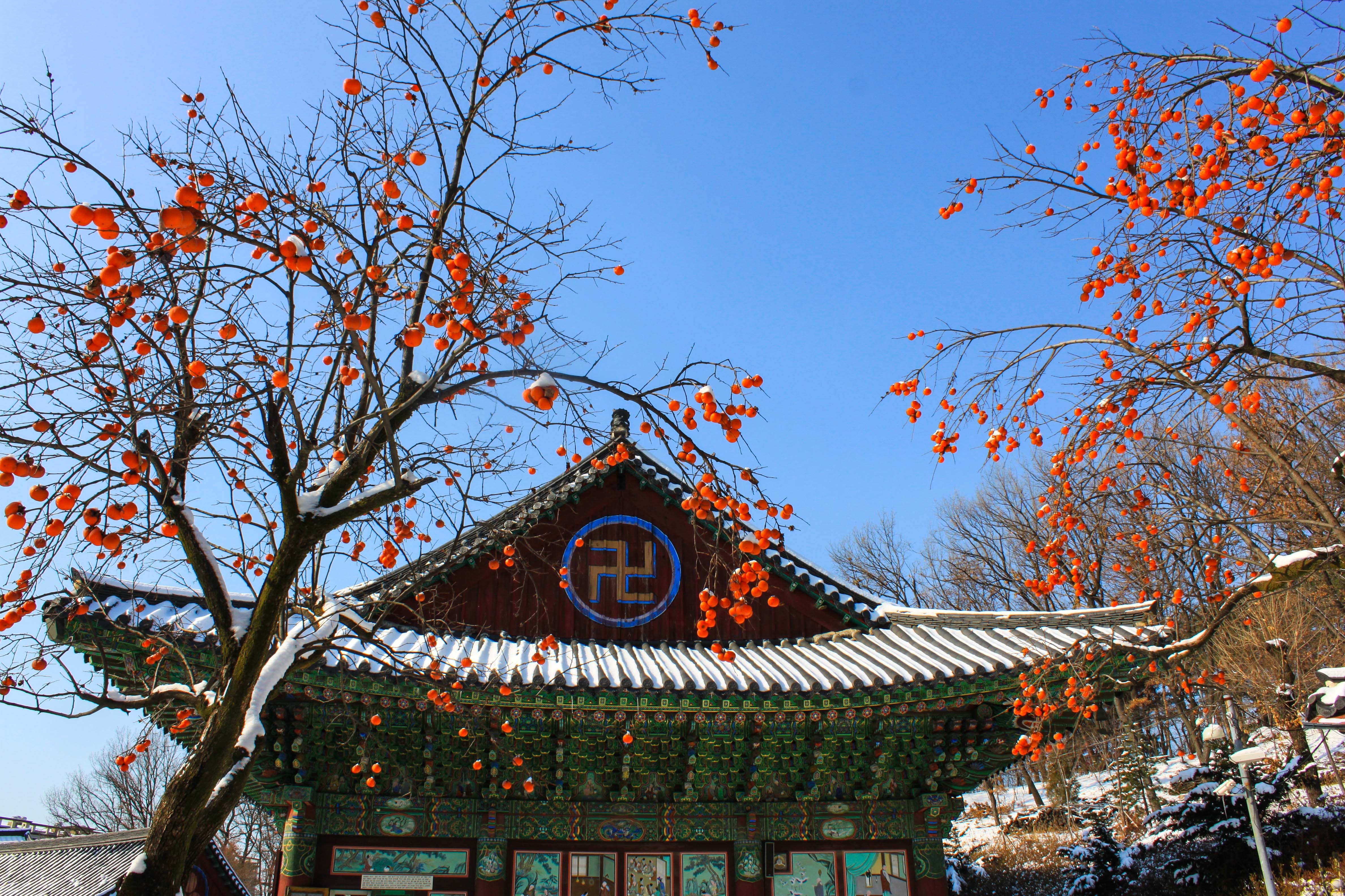 Du lich Han Quoc anh 79