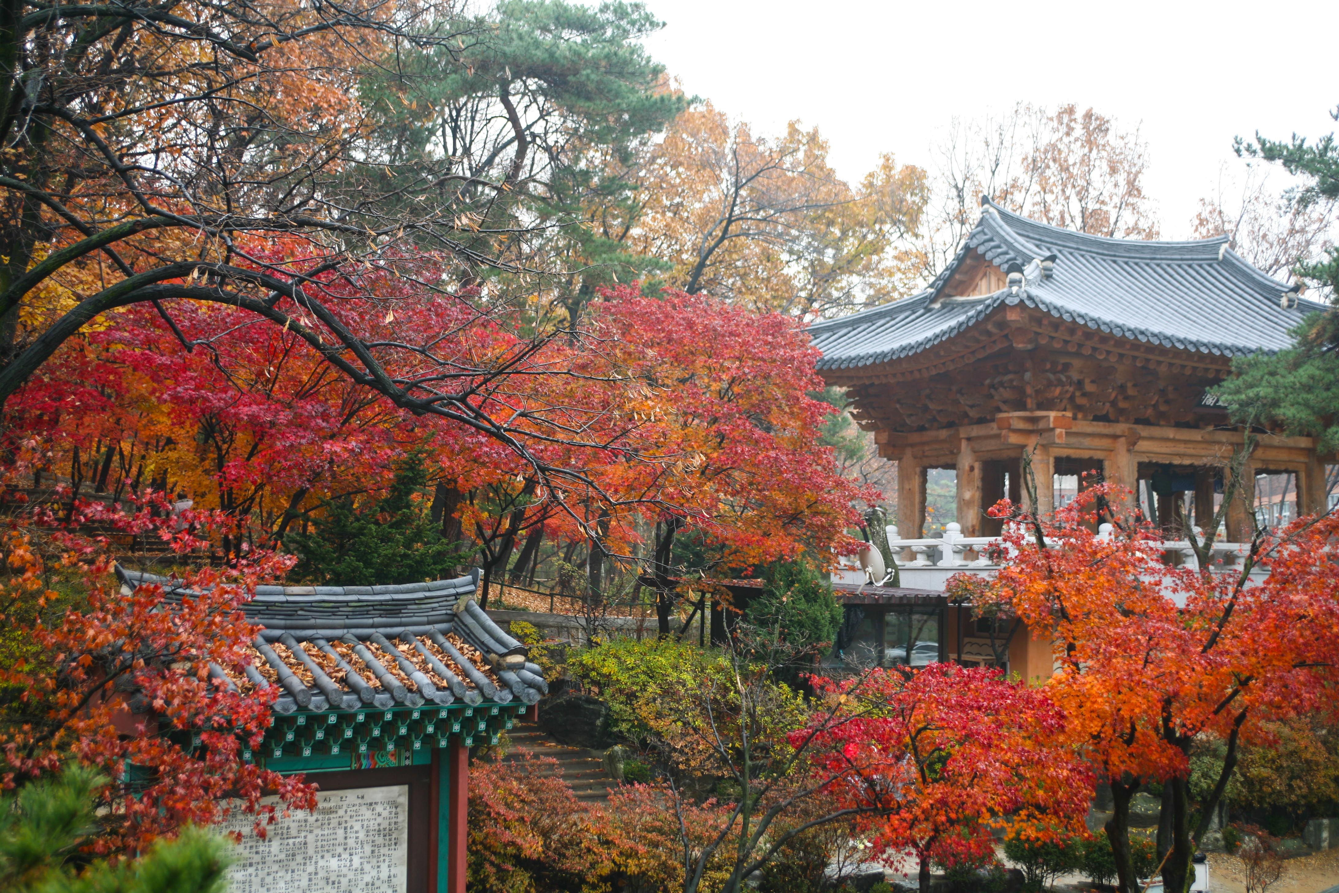 Du lich Han Quoc anh 71