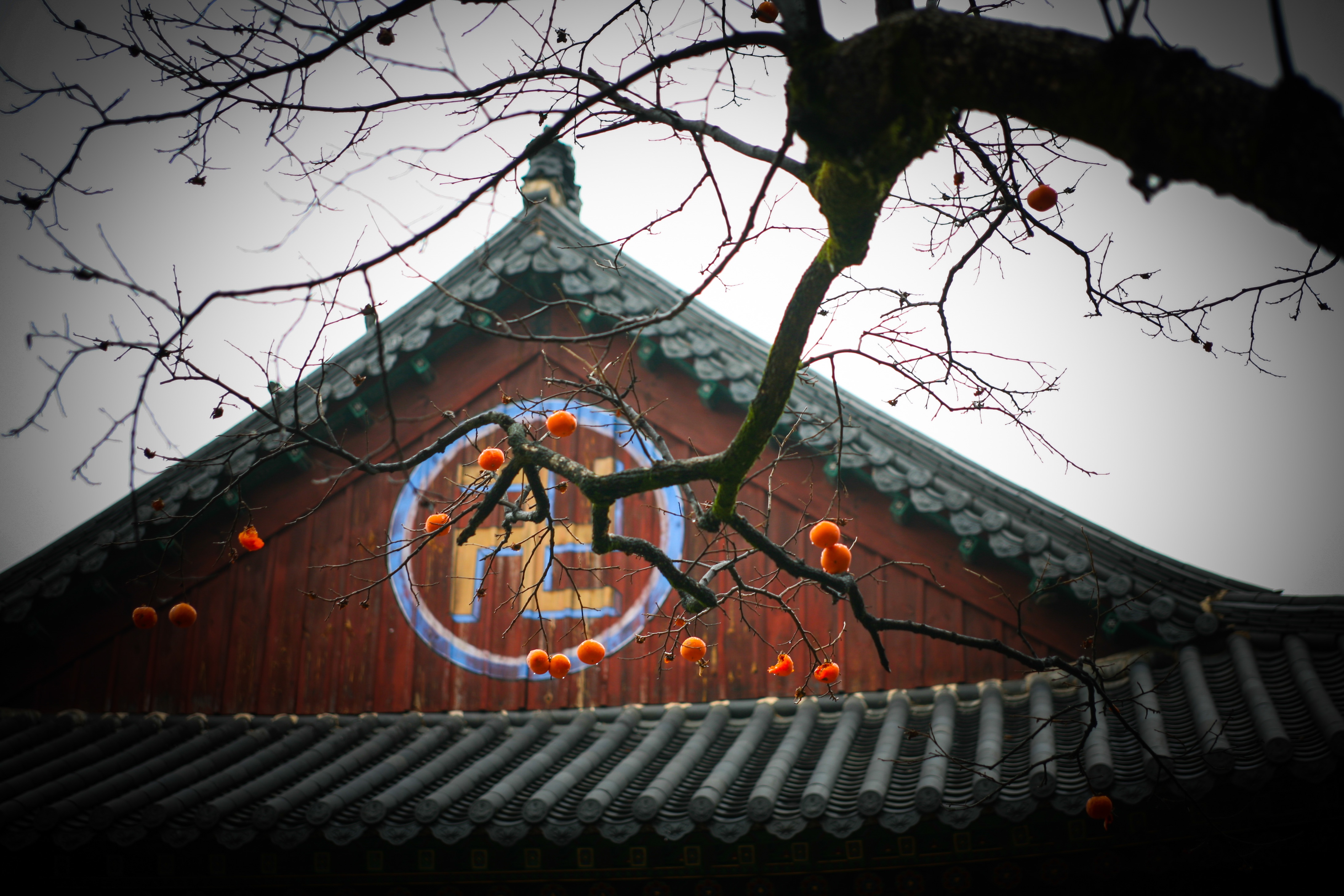 Du lich Han Quoc anh 72