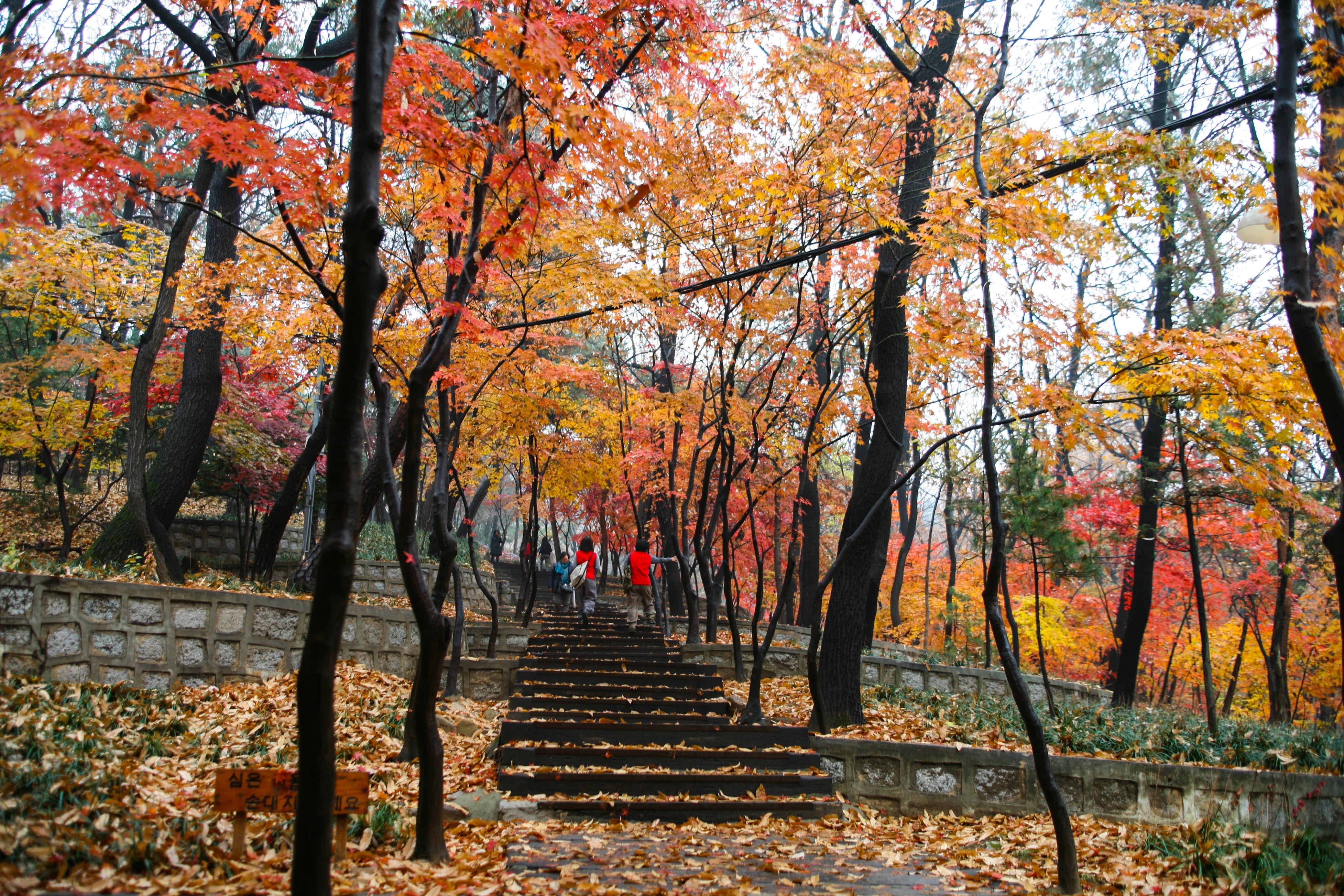 Du lich Han Quoc anh 73