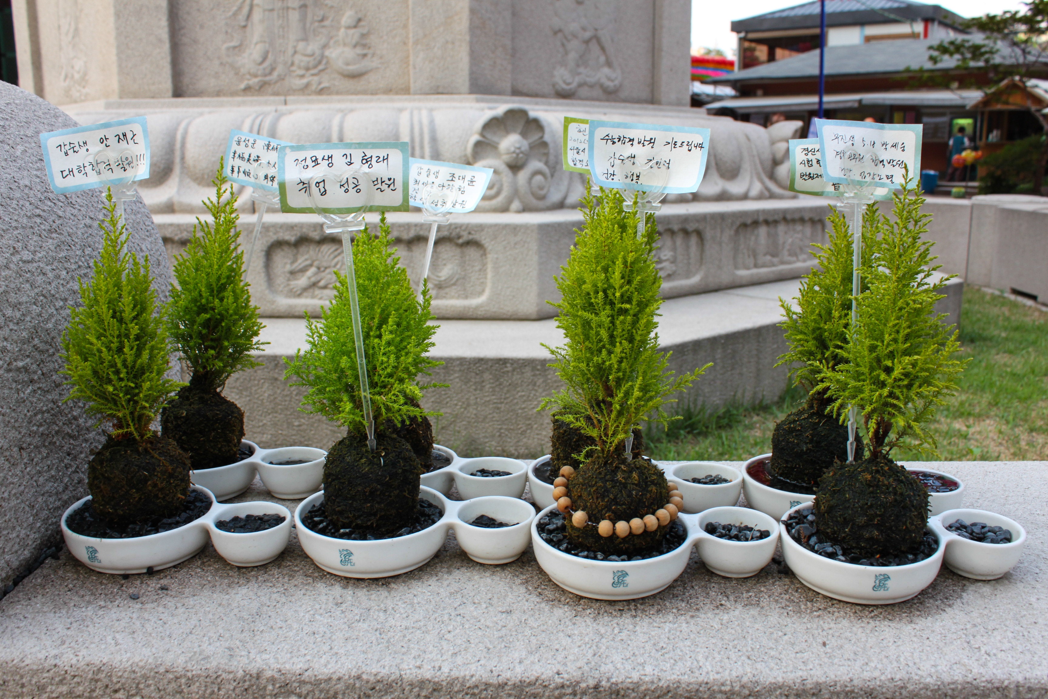 Du lich Han Quoc anh 17