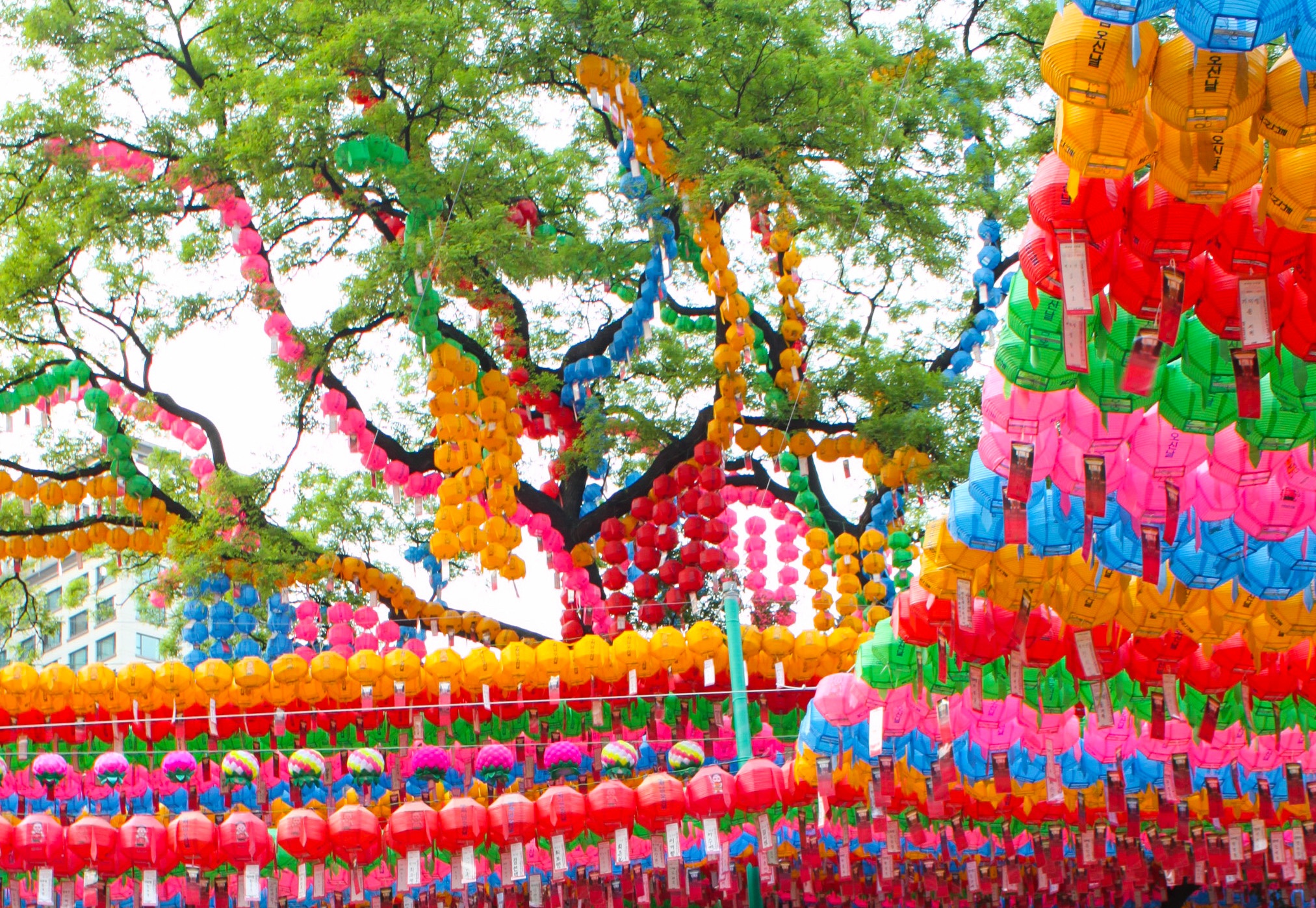 Du lich Han Quoc anh 18