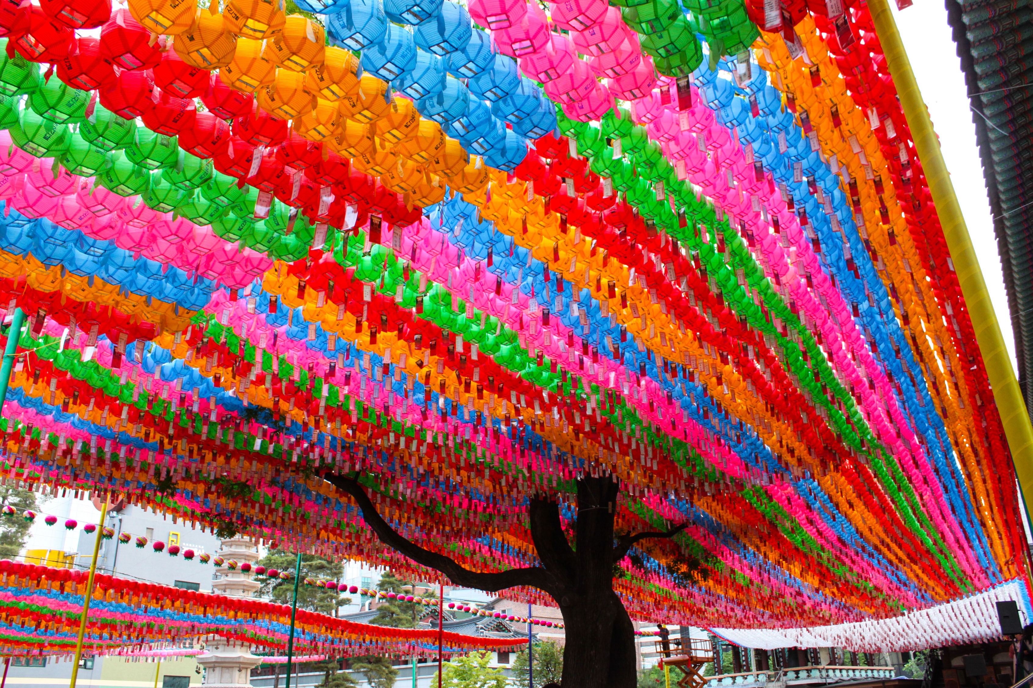 Du lich Han Quoc anh 19