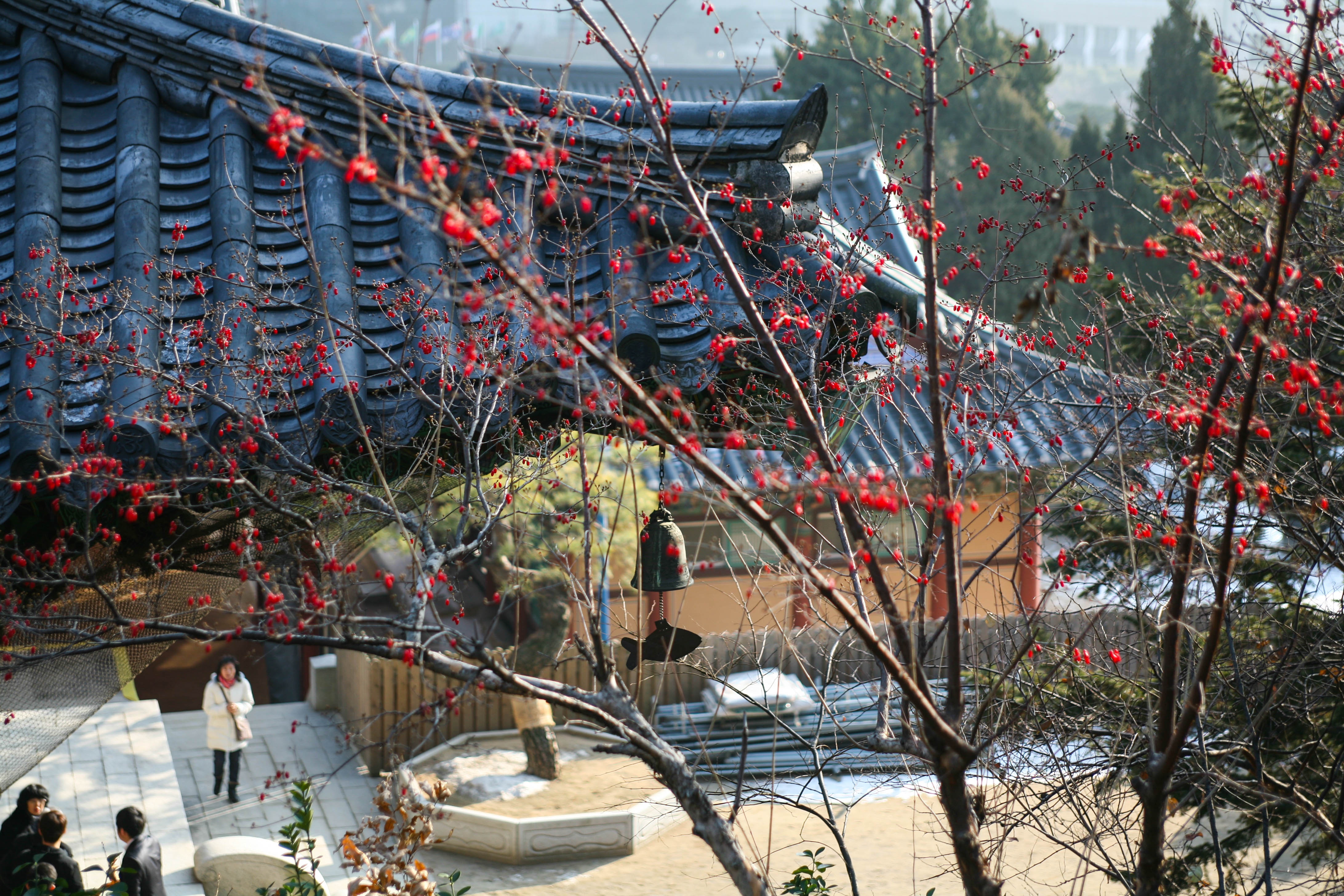 Du lich Han Quoc anh 30