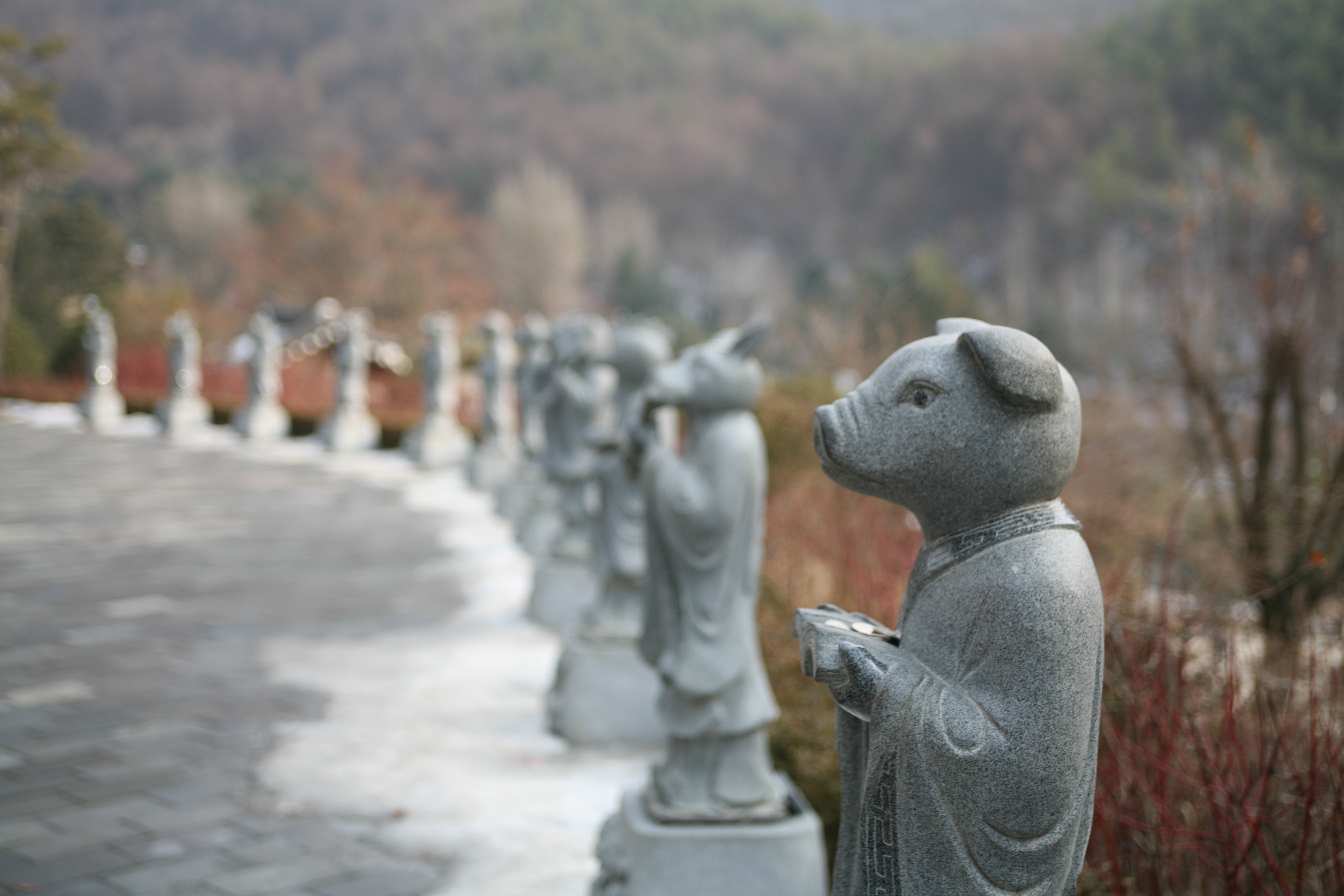 Du lich Han Quoc anh 4