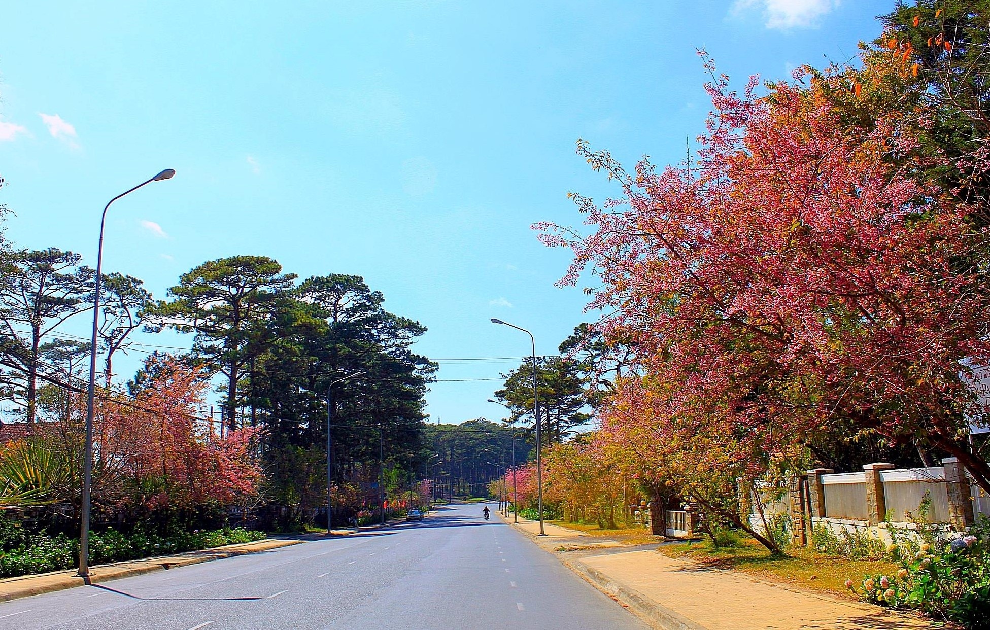 Da Lat anh 13