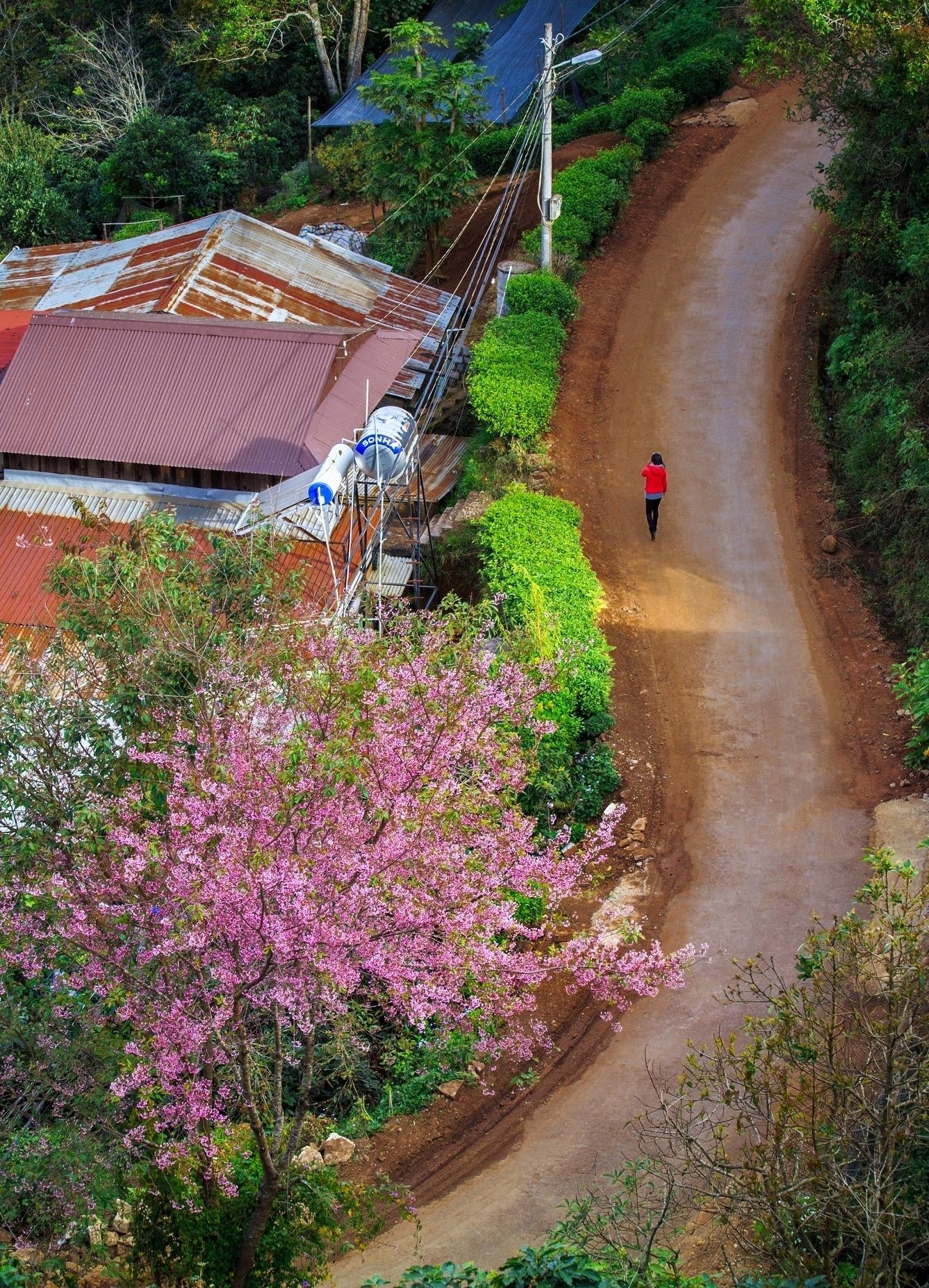 Da Lat anh 27
