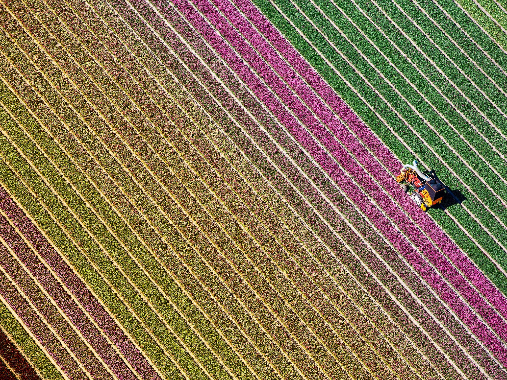 The gioi van minh sau mua dong gia lanh hinh anh